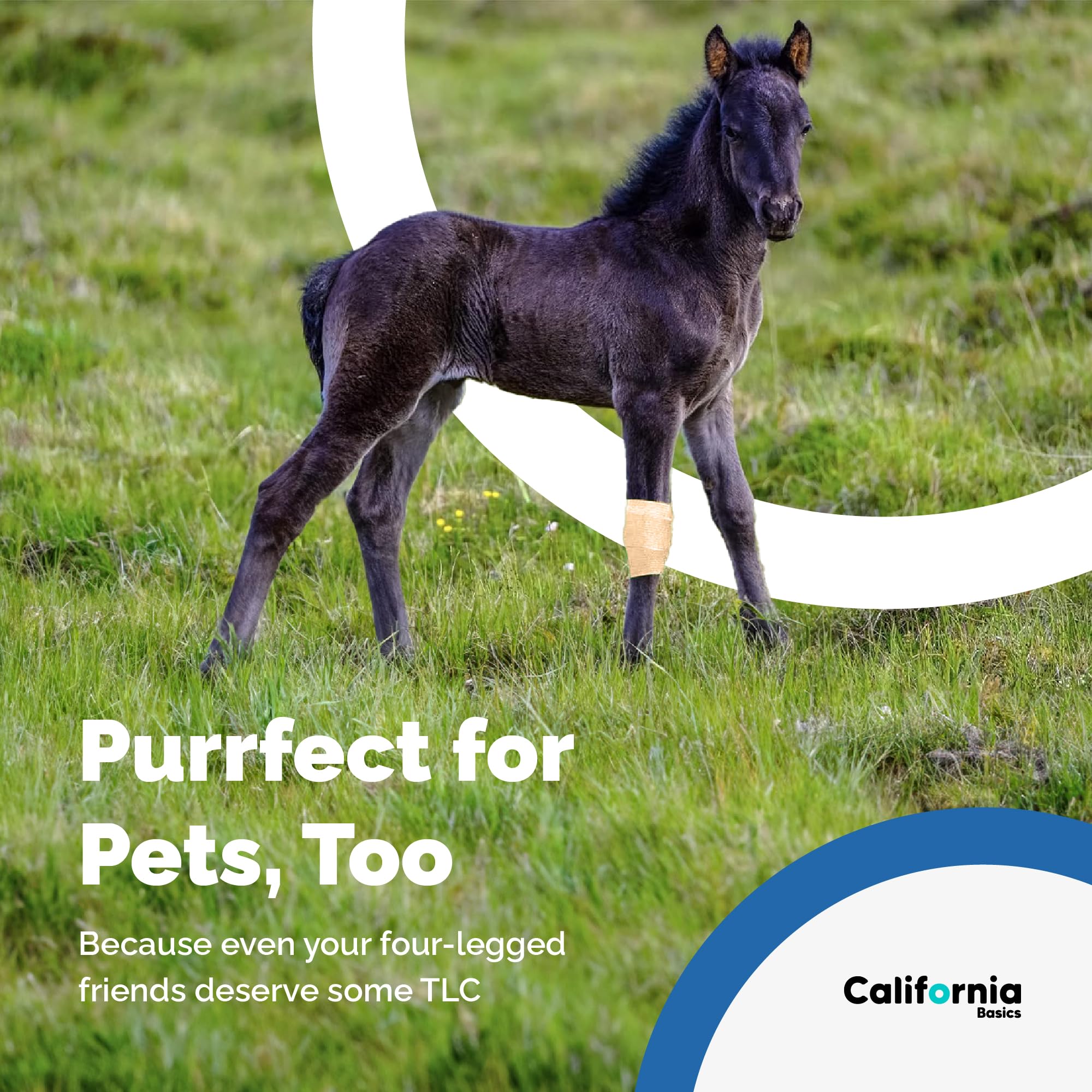 California Basics vet wrap option keeps pets comfortable while providing controlled support.