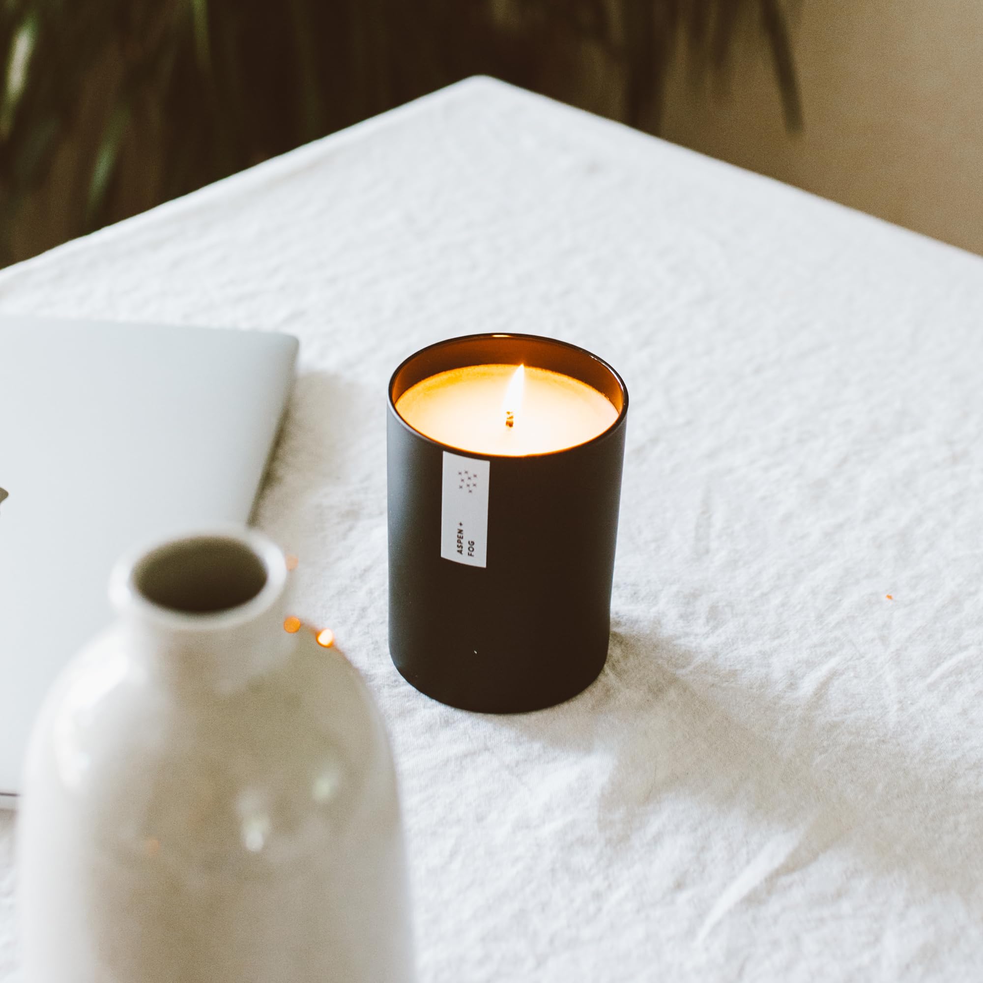 Calyan Wax Co. Aspen & Fog cruelty-free and paraffin-free plant-based candle