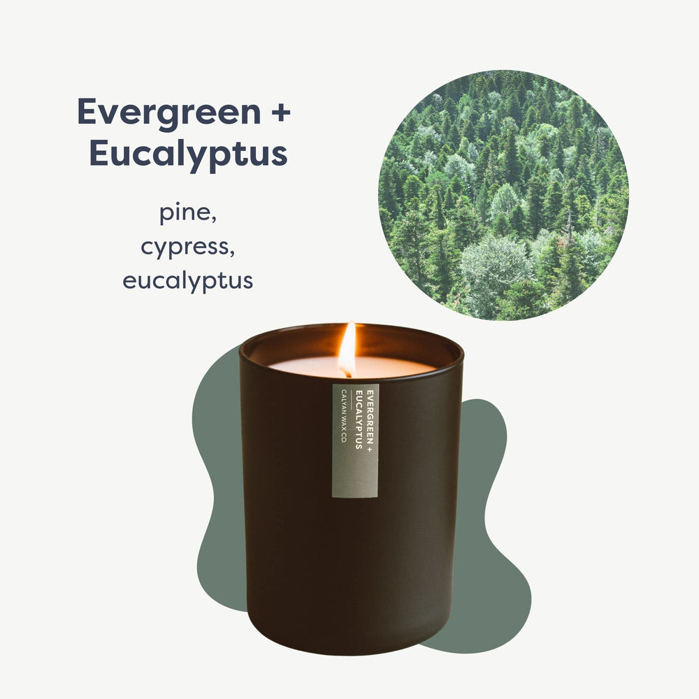 Calyan Wax Co Evergreen Eucalyptus candle shows wick detail for steady fragrance release