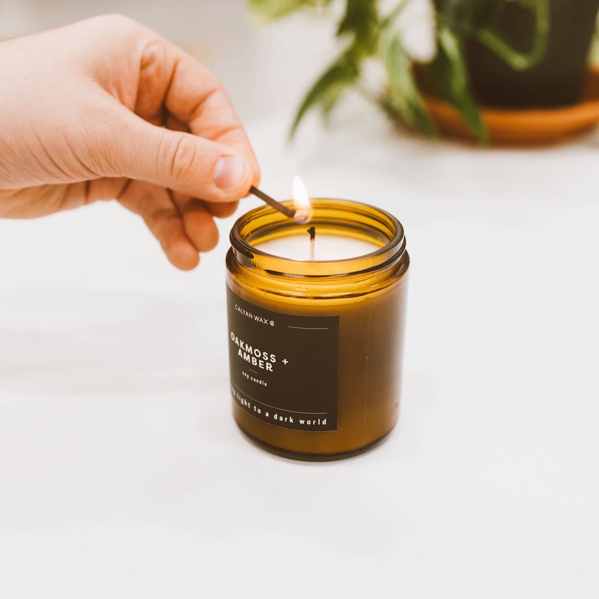 Sustainable packaging for Calyan Wax Co. Oakmoss & Amber candle.