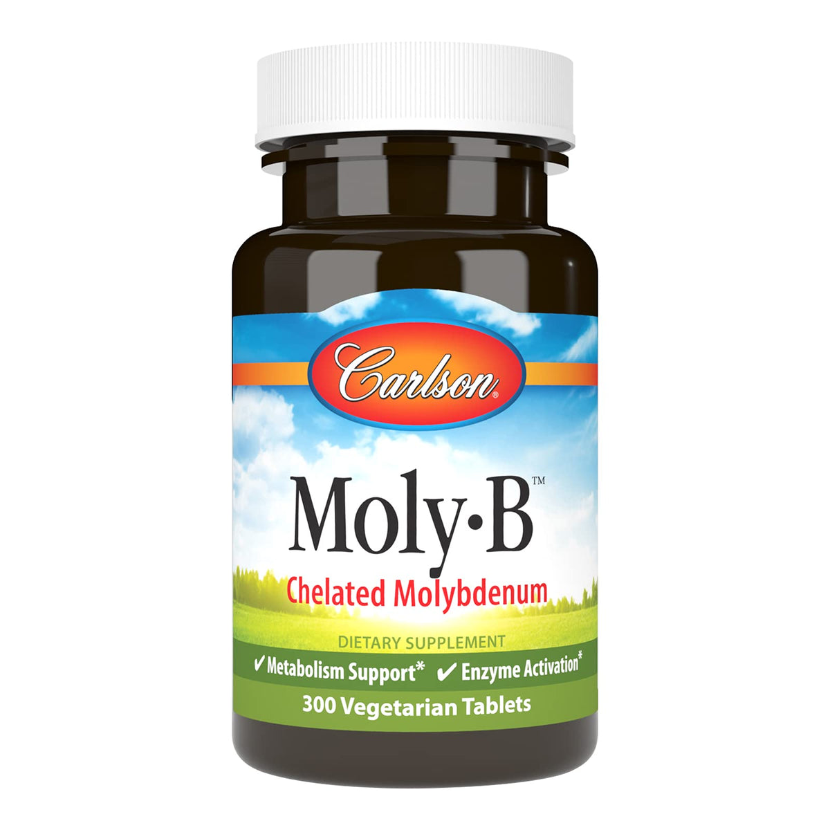 Carlson Moly-B bottle front view showing 300 vegetarian tablets for daily wellness.