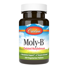 Carlson Moly-B bottle front view showing 300 vegetarian tablets for daily wellness.