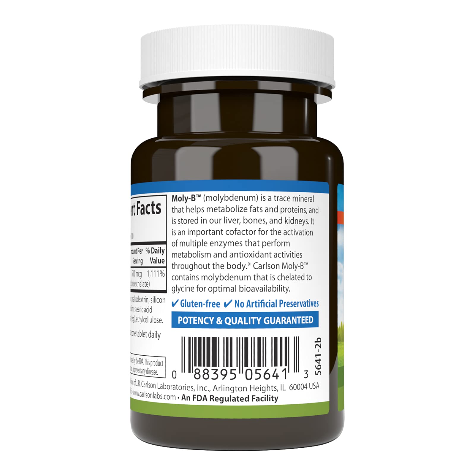 Carlson Moly-B tablet lineup demonstrates an easy daily supplementation option.