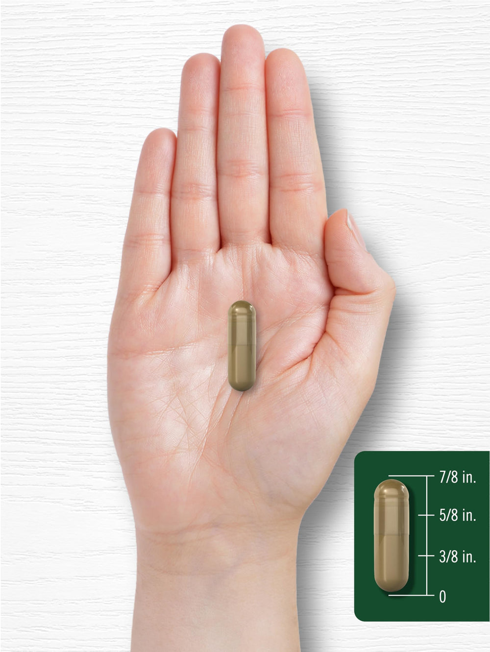 Carlyle Andrographis bottle on kitchen counter ready for routine.