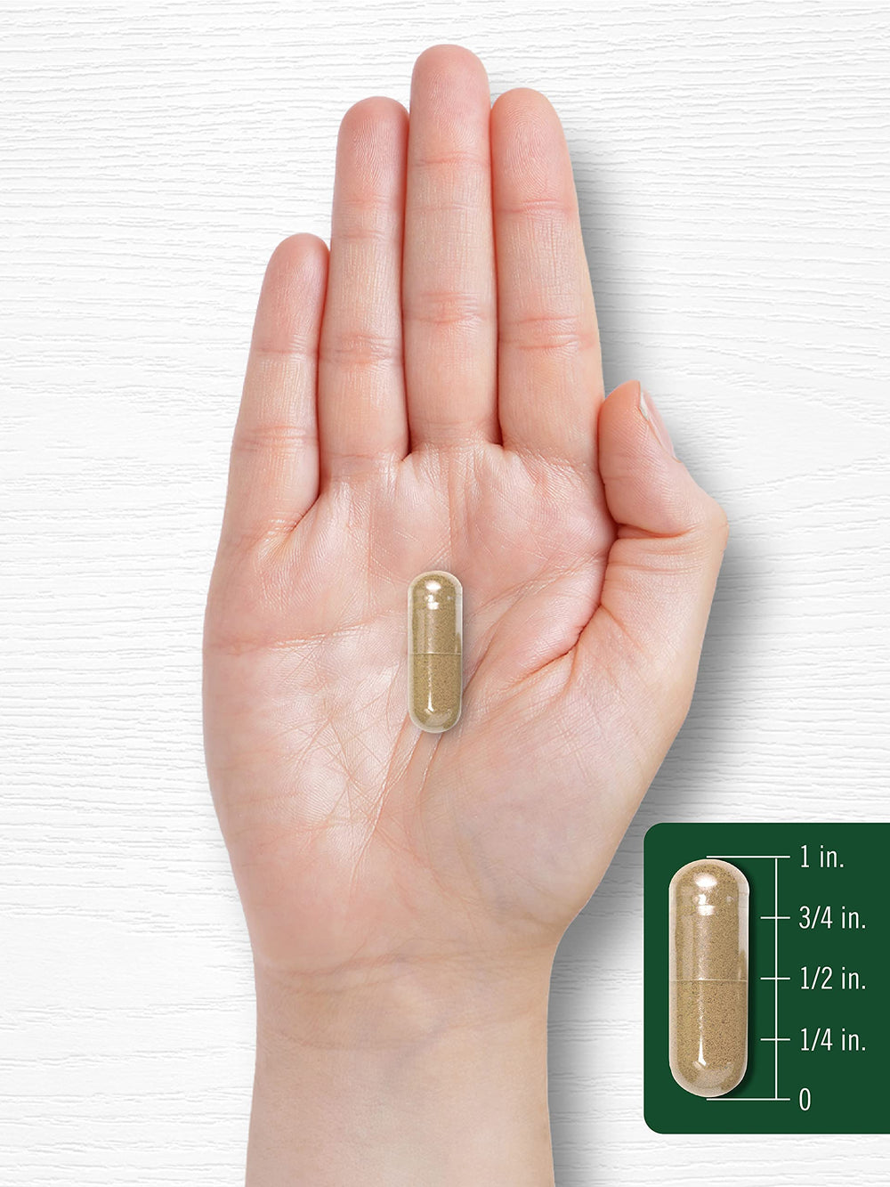 Carlyle Artichoke Extract capsules in blister pack for convenient daily use.