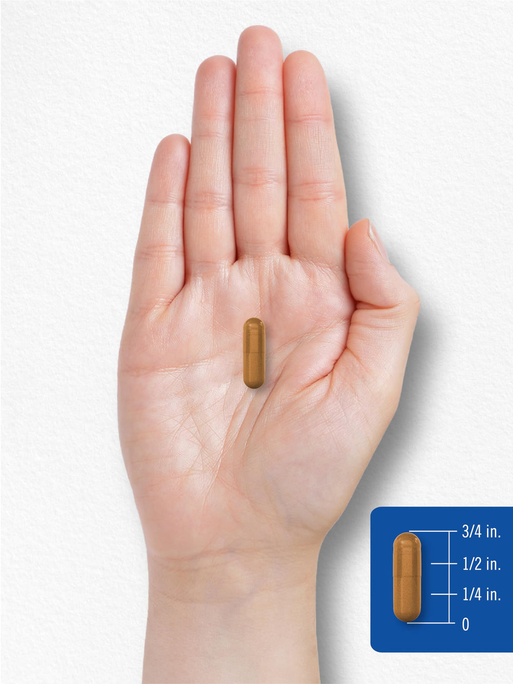 Carlyle B2 400mg lifestyle setup with supplement routine