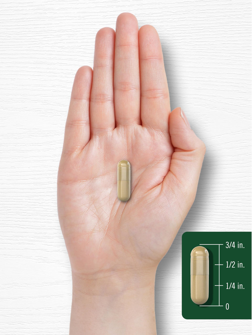 Carlyle Bacopa Capsules close-up of capsule texture and smooth coating
