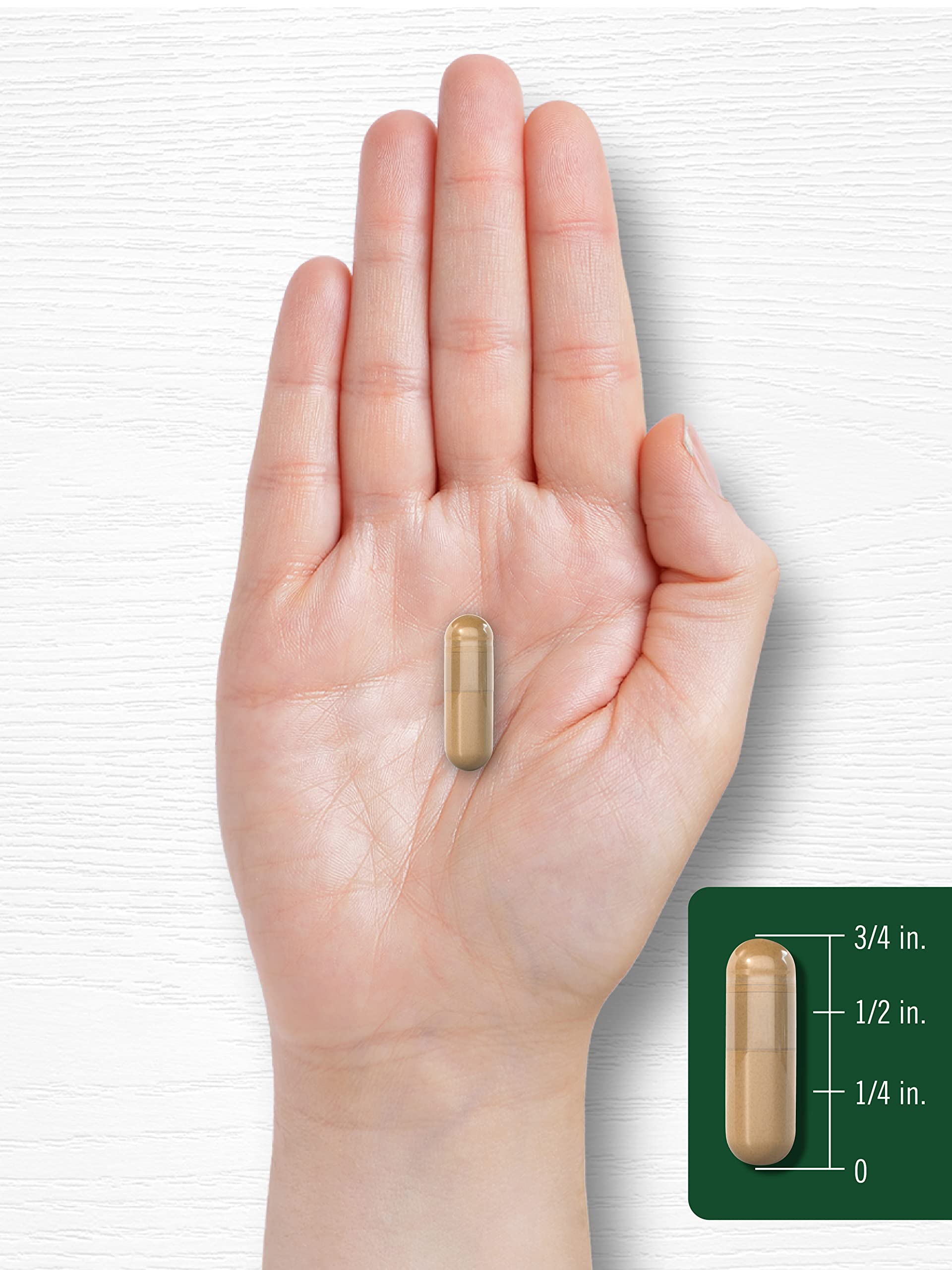 100-count Carlyle Coleus Forskohlii pack shot for easy stocking