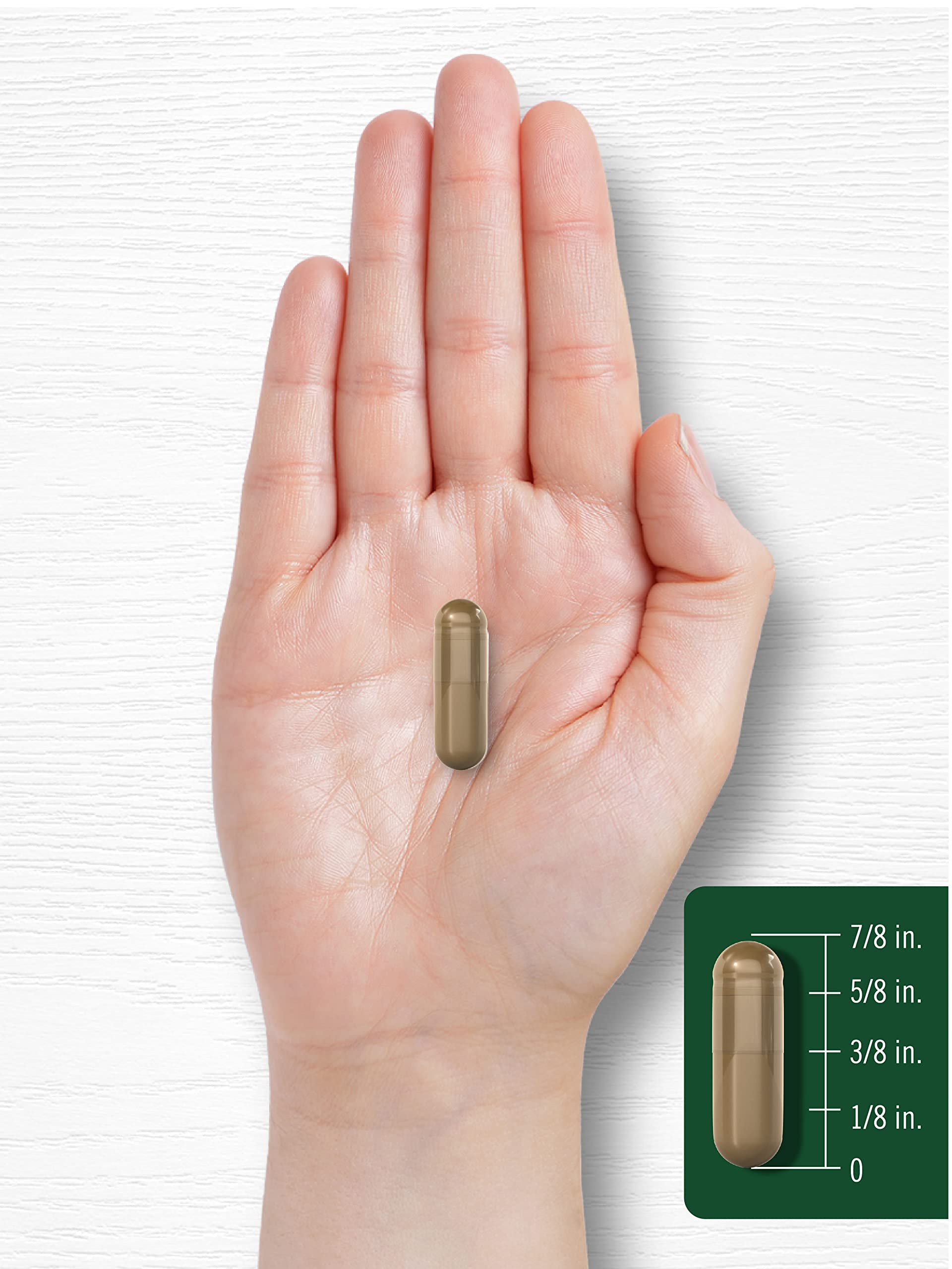 Carlyle Fennel Seed 480mg capsule dosage ready to take
