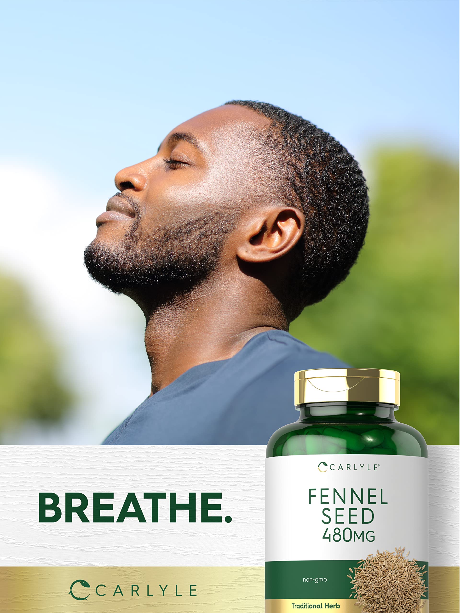 Carlyle Fennel Seed 480mg packaging box