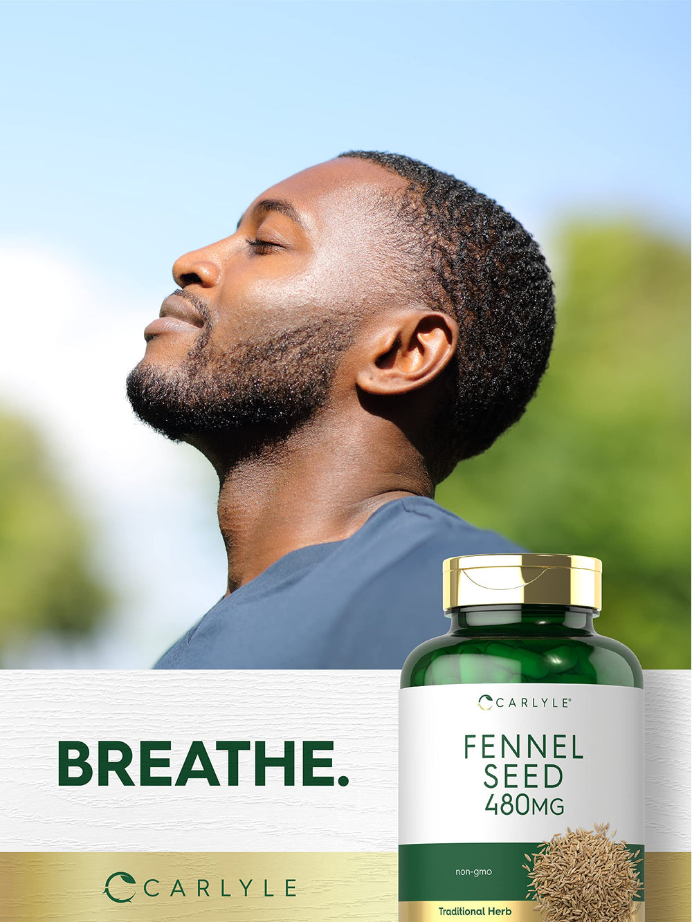 Carlyle Fennel Seed 480mg packaging box