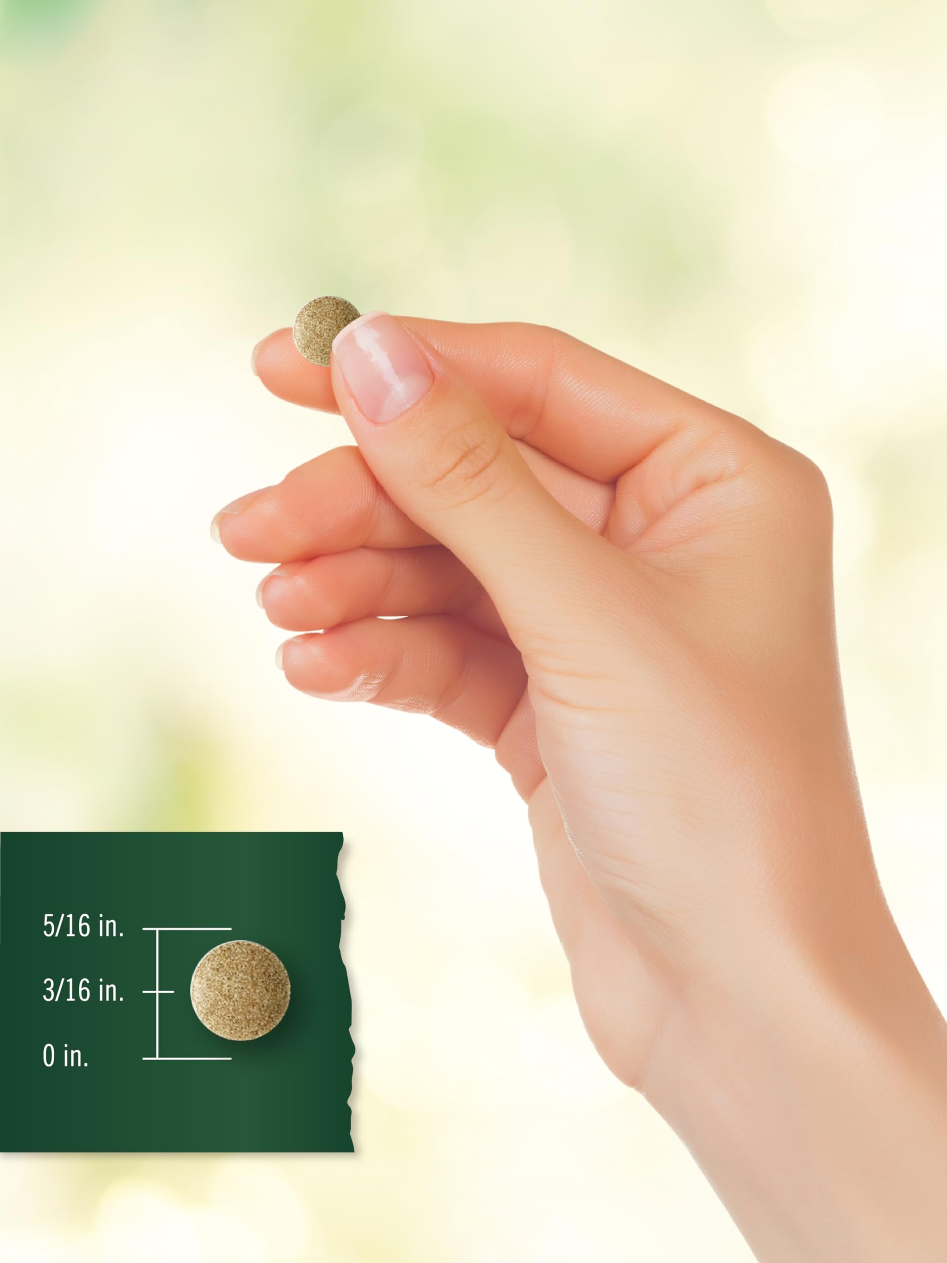 Carlyle Ginkgo Biloba vegetarian tablets packaging emphasizes allergen-free formulation