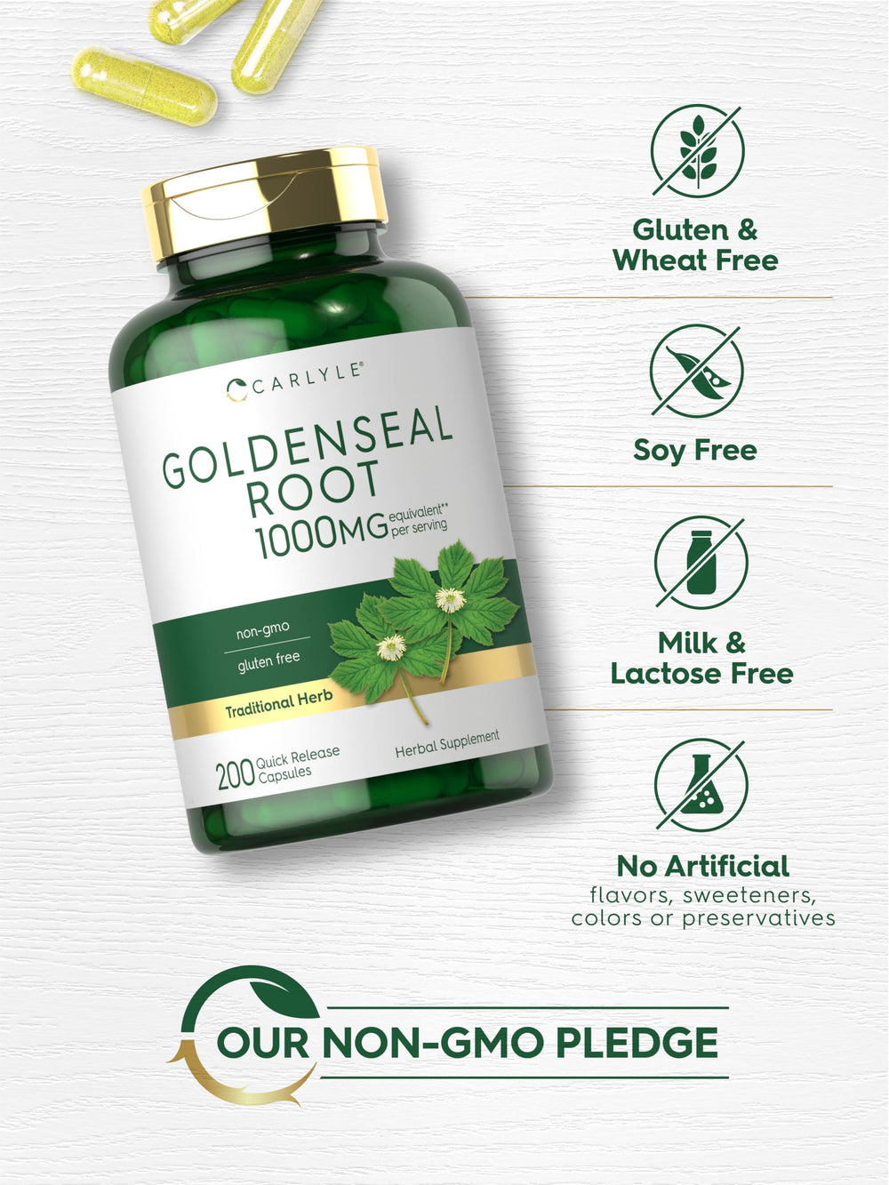 Carlyle Goldenseal root illustration evokes traditional wellness roots.