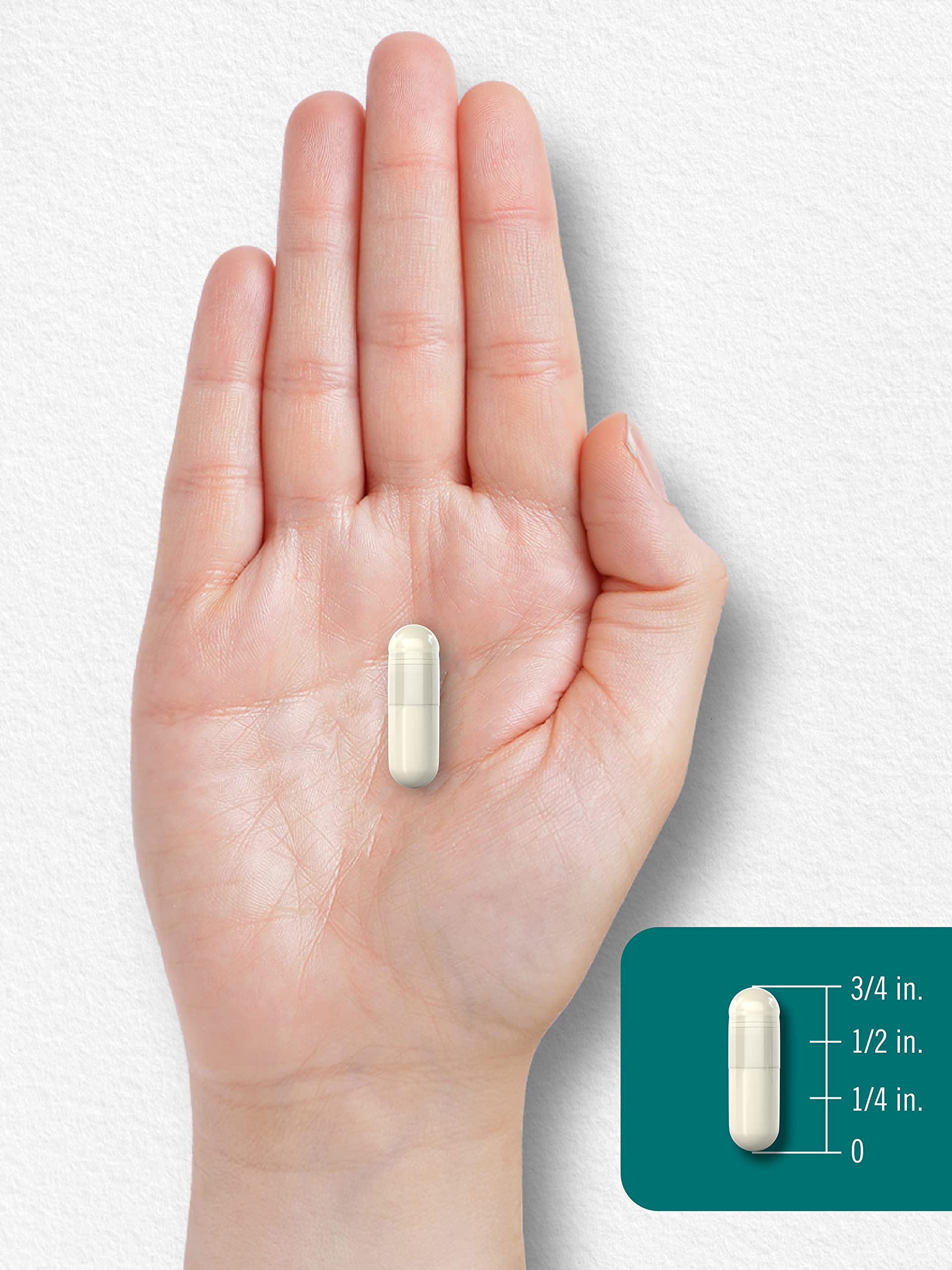 Carlyle L-Theanine 200mg packaging close-up conveys quality and trust