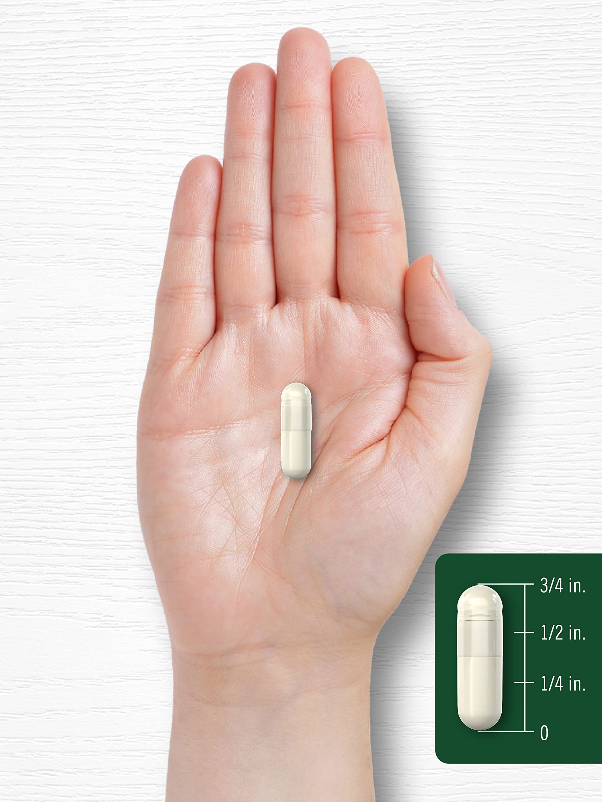 Carlyle Plant Enzymes daily-use suggestion image for meals