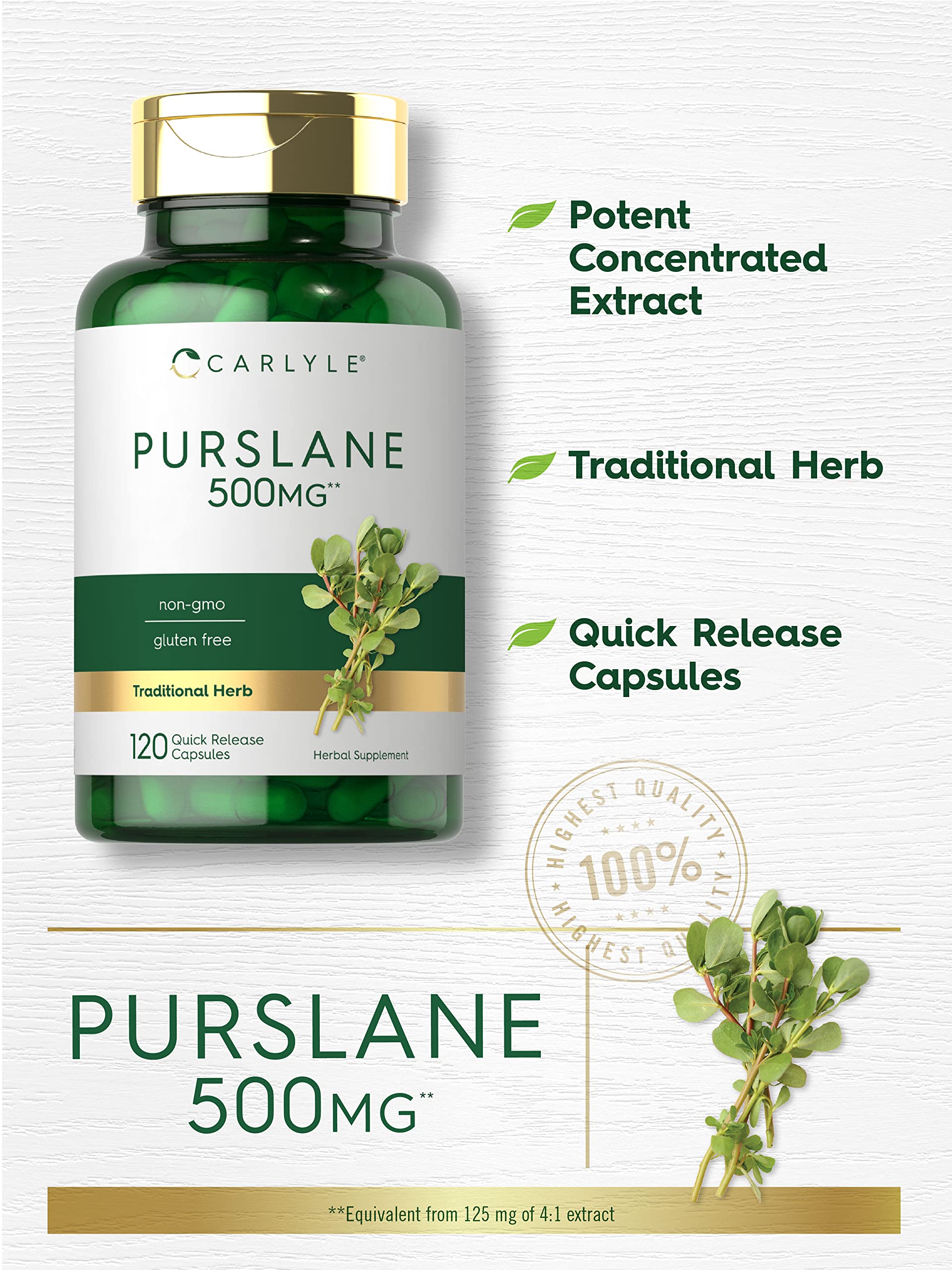 Carlyle Purslane leaf close-up highlights omega-3 rich content.