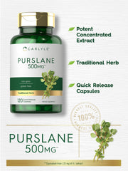 Carlyle Purslane leaf close-up highlights omega-3 rich content.
