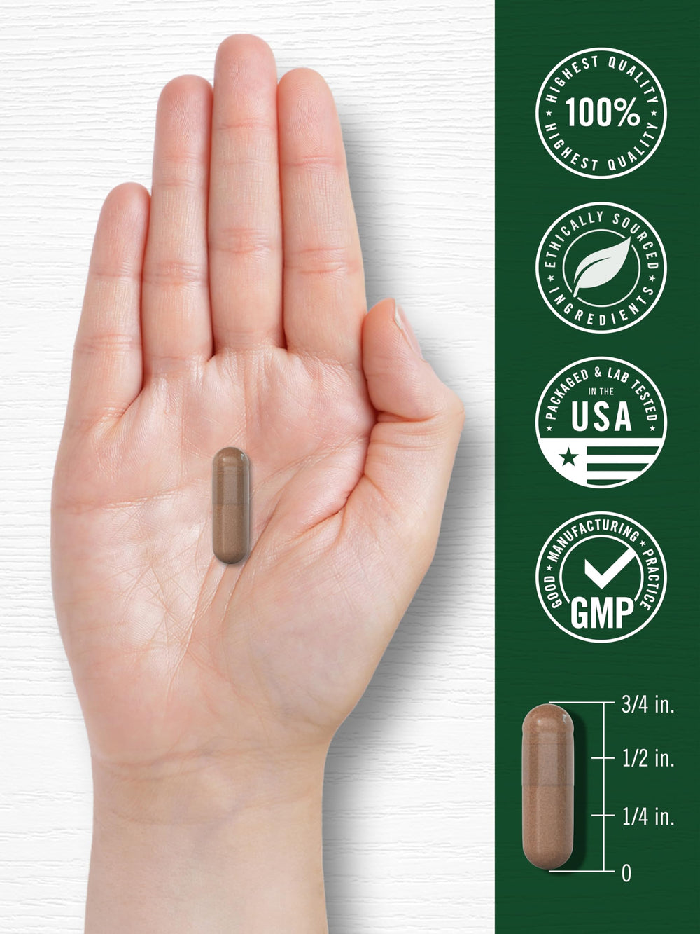 Carlyle Pycnogenol 100mg quick-release capsules shown for easy daily use.