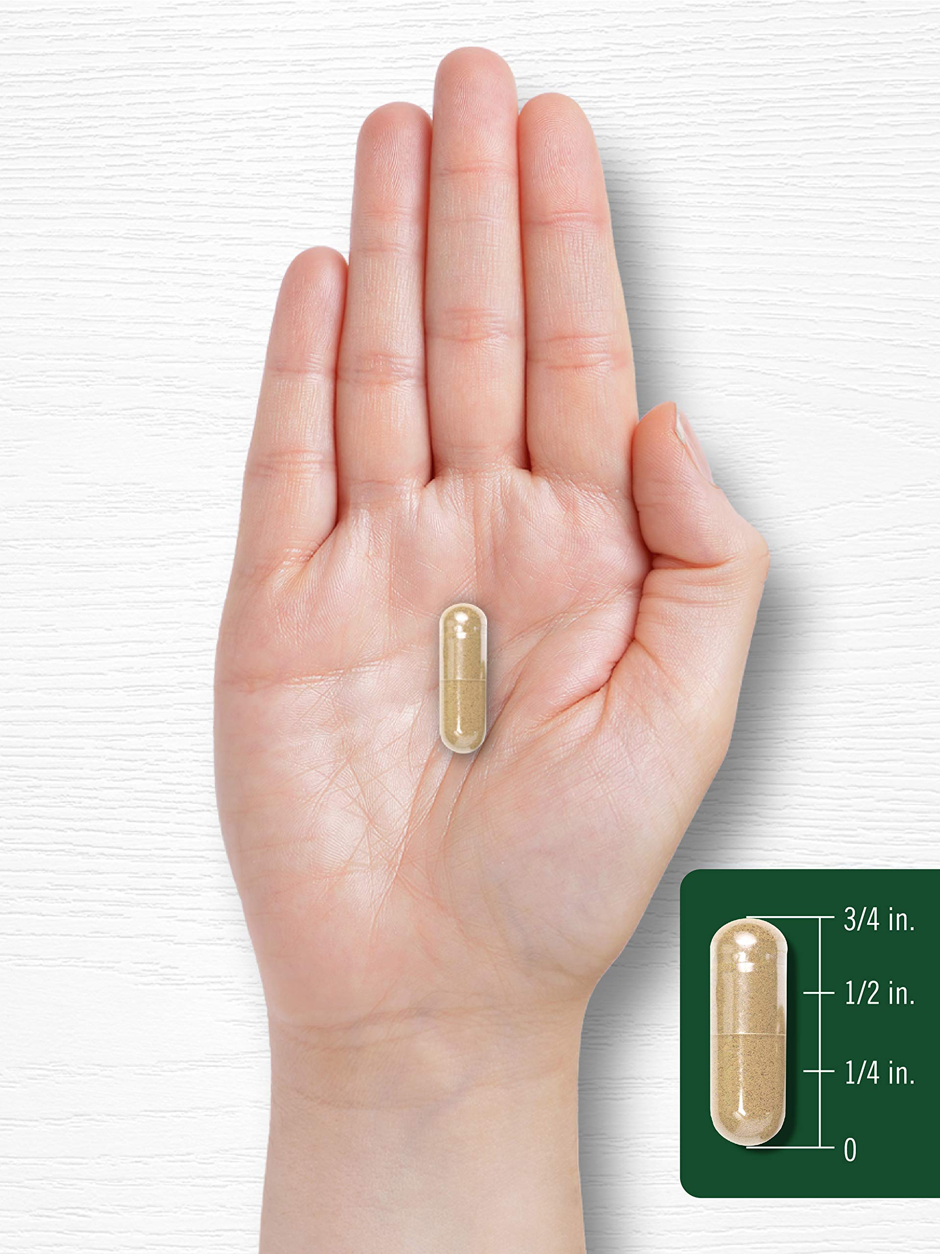 Carlyle Tulsi capsule arrangement with uncapped bottle and leaf imagery