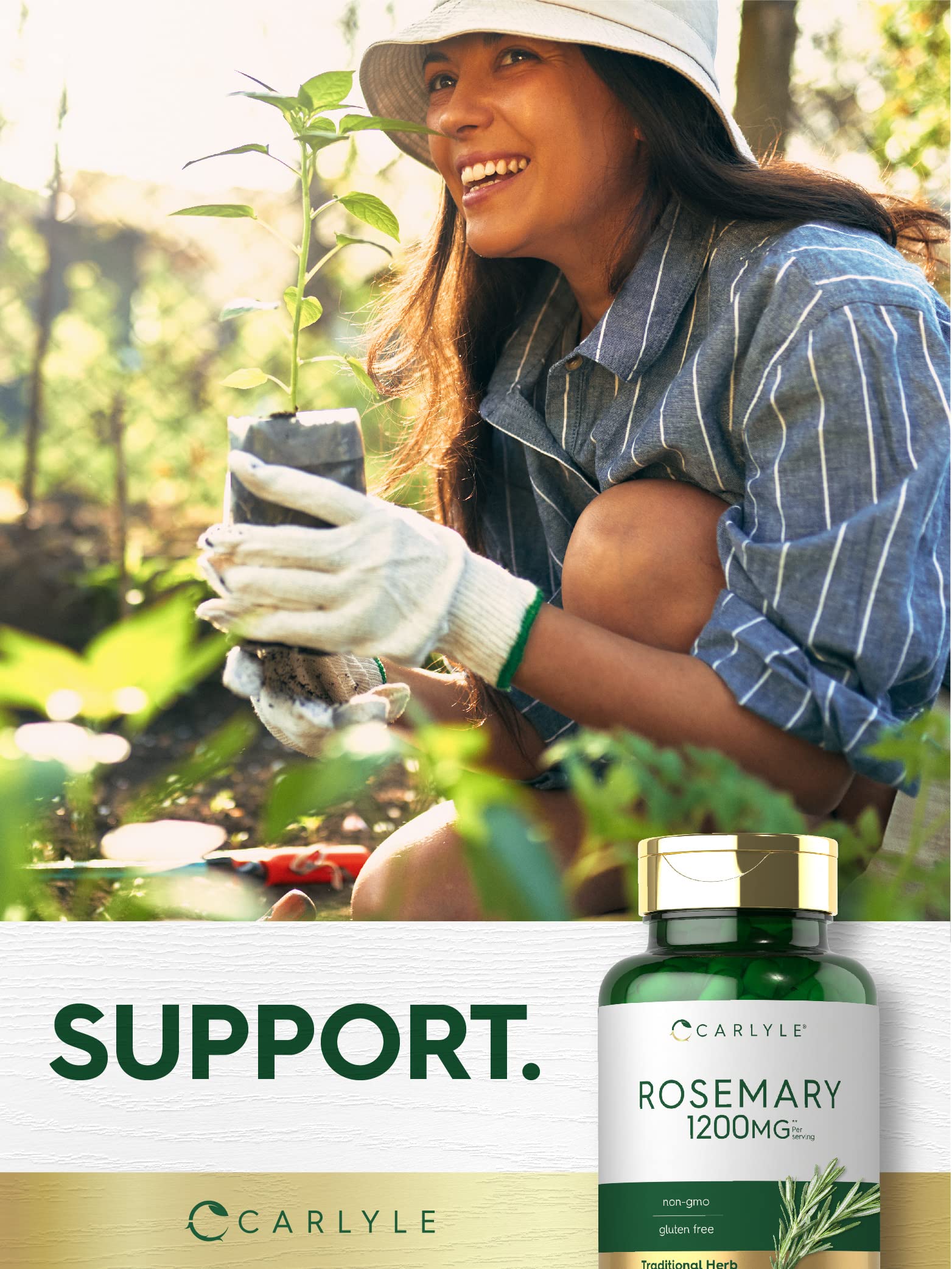 Carlyle Rosemary capsules non-GMO seal visible on label.