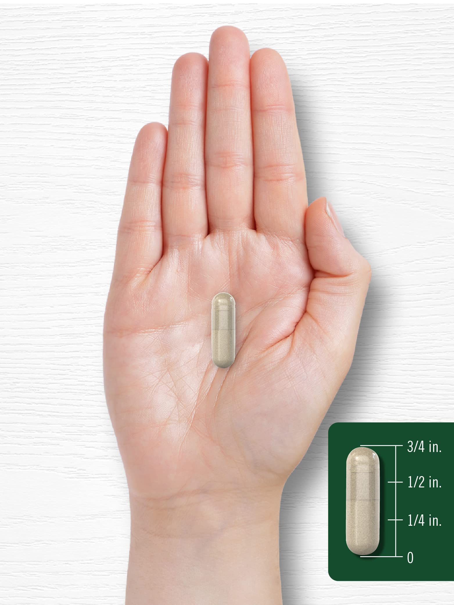 Carlyle Rosemary capsules packaging back for ingredient details.