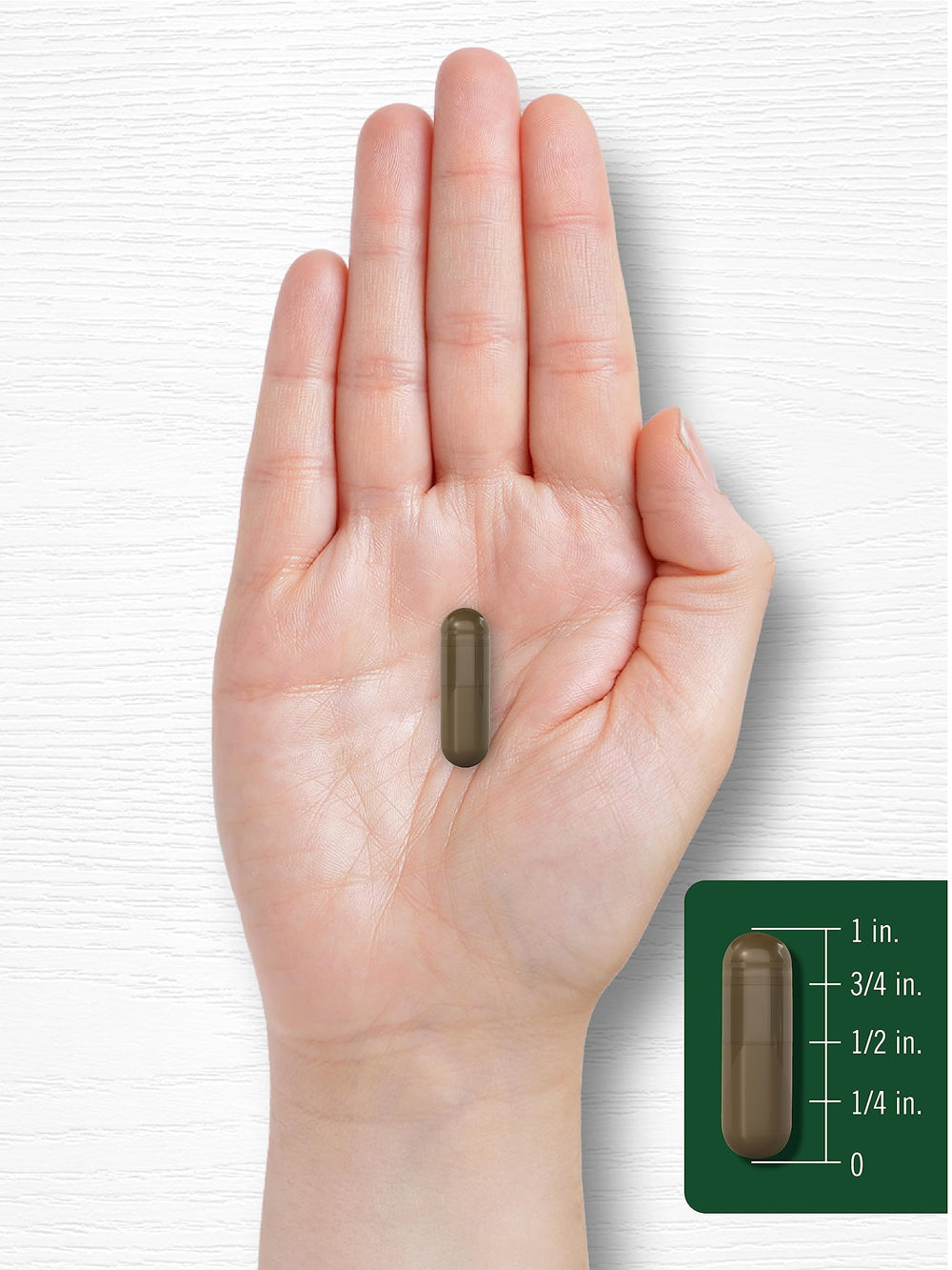 Carlyle Schisandra supplement with berry extract on clean surface