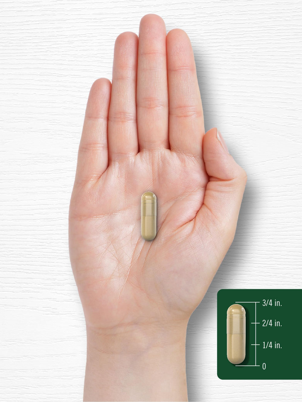 Ingredients list on Carlyle Shiitake Extract bottle supports transparency.