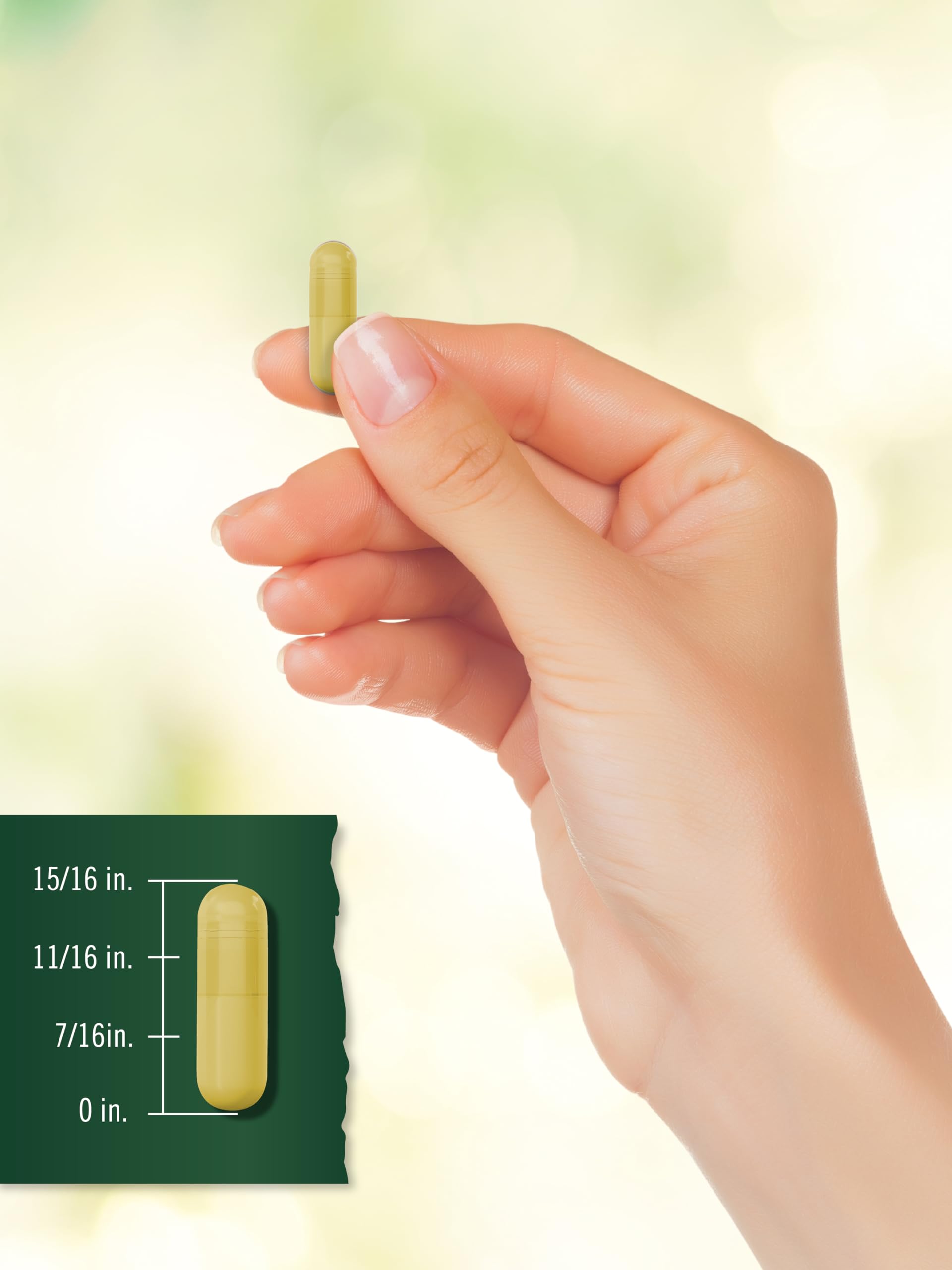 Carlyle Tahoe Turmeric Curcumin ingredients list visible