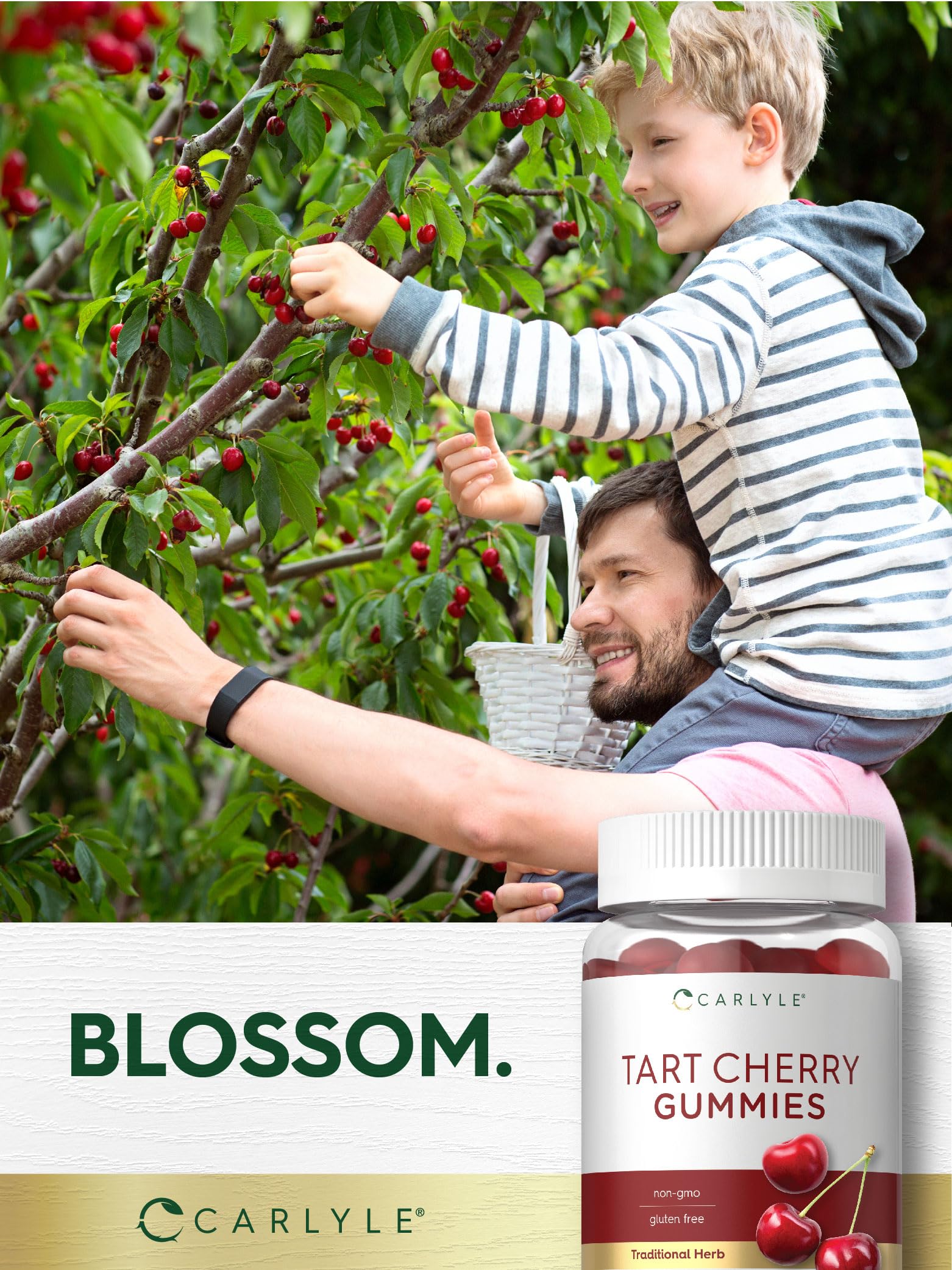 Carlyle Tart Cherry Gummies ingredients panel highlights tart cherry fruit extract.