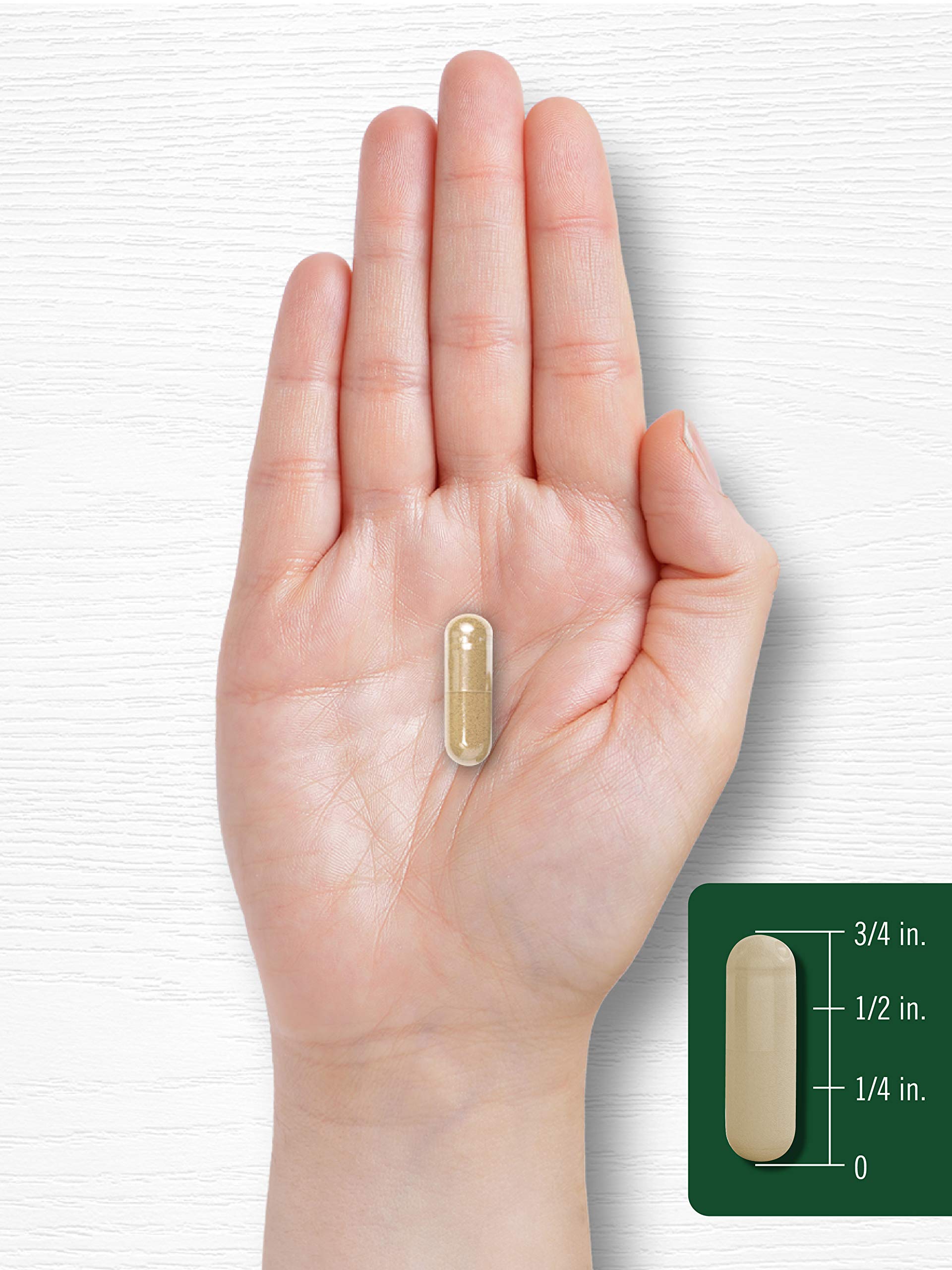 Carlyle uso-diario: opción de bienestar con cápsulas de lechuga silvestre.