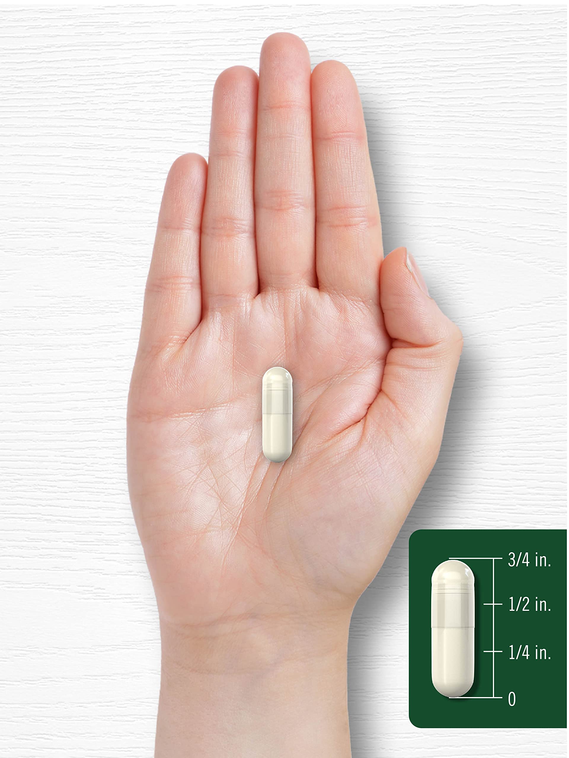 Carlyle Wild Yam Root Capsules on countertop for daily-use routine.