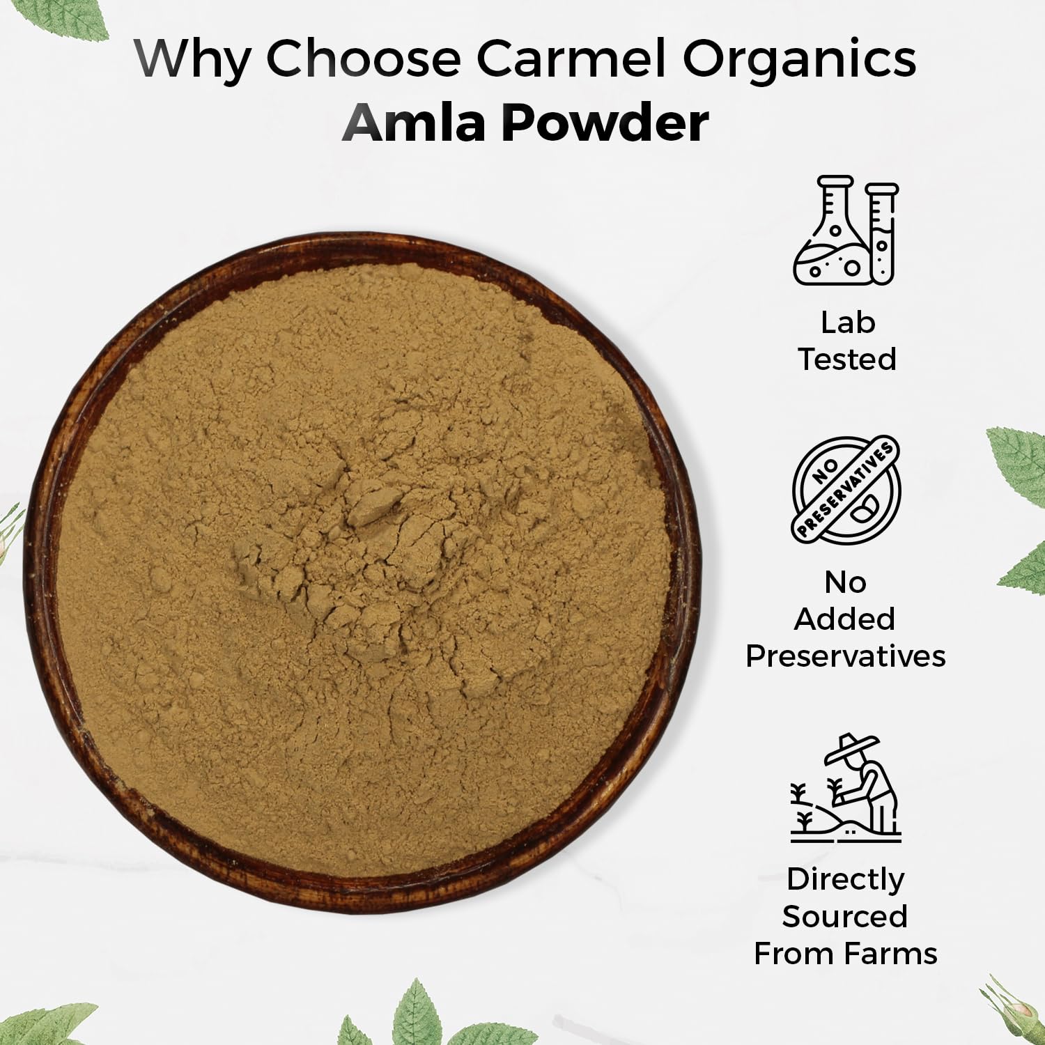 Carmel Organics Amla powder in a hair treatment mix