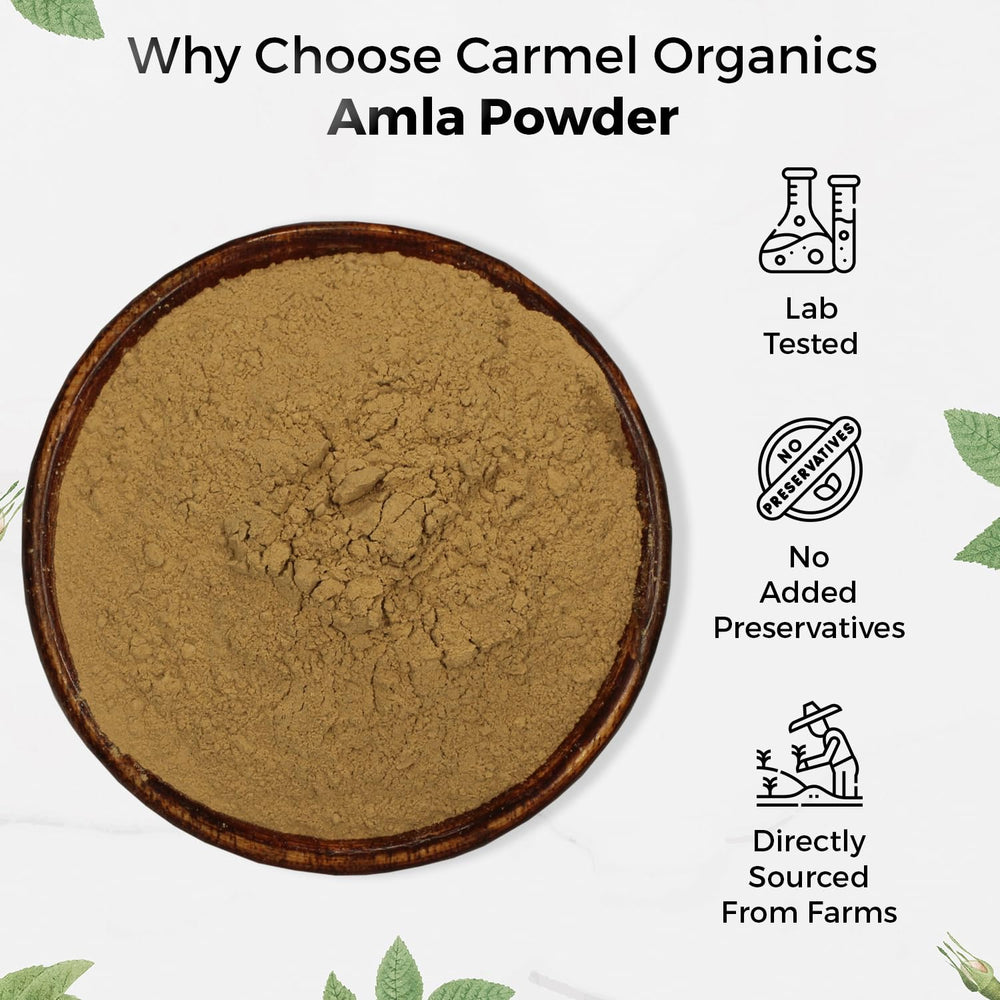 Carmel Organics Amla powder in a hair treatment mix