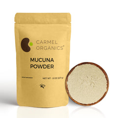 Carmel Organics Mucuna Pruriens powder bottle ready for blending into beverages