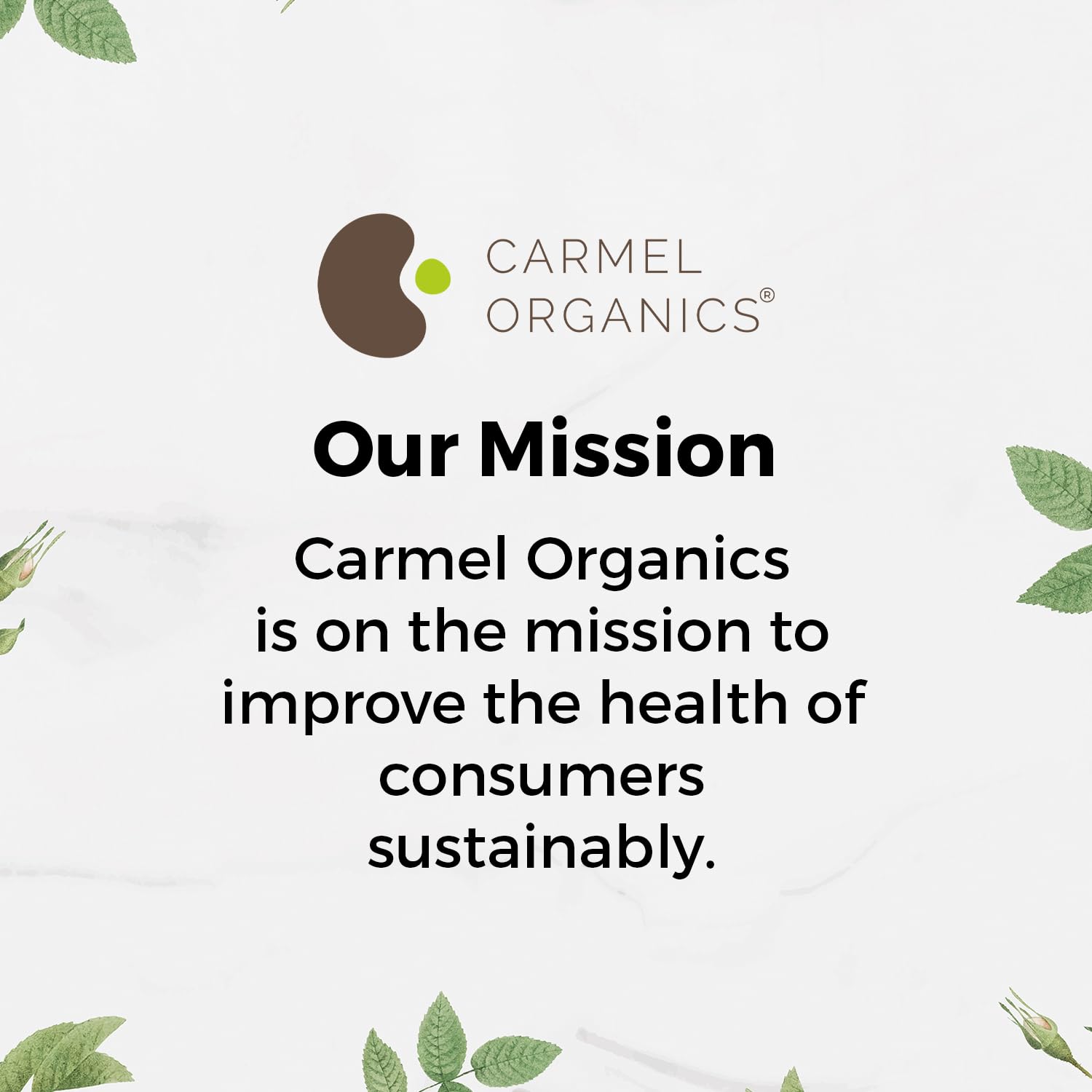 Carmel Organics Neem Leaves Powder in a skincare routine setup.