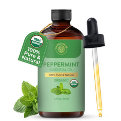Carno Calm peppermint oil in diffuser releasing a refreshing mint aroma.