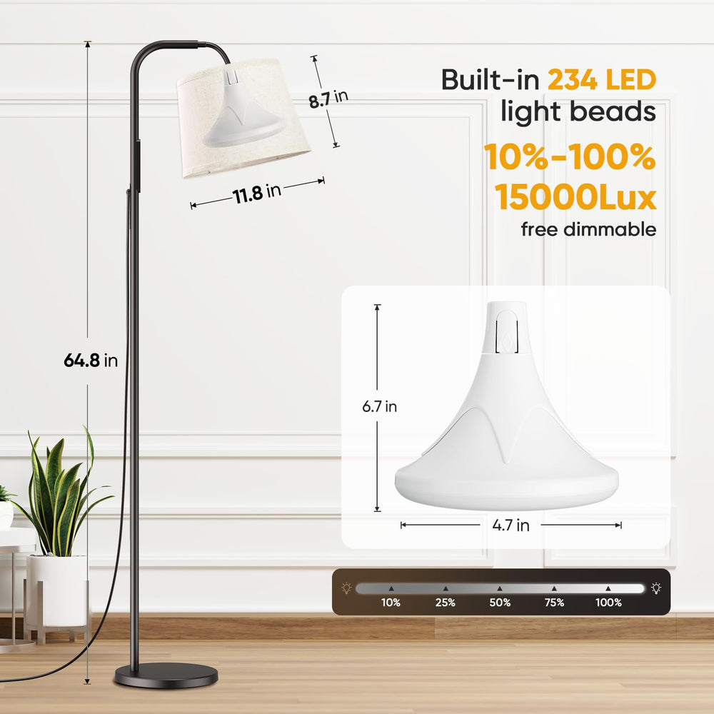 Caromolly lamp brightness adjusts from 10% to 100% for flexible use.