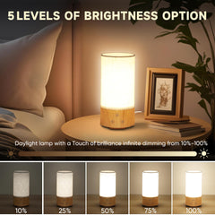 Caromolly lamp with touch dimming offers personalized brightness