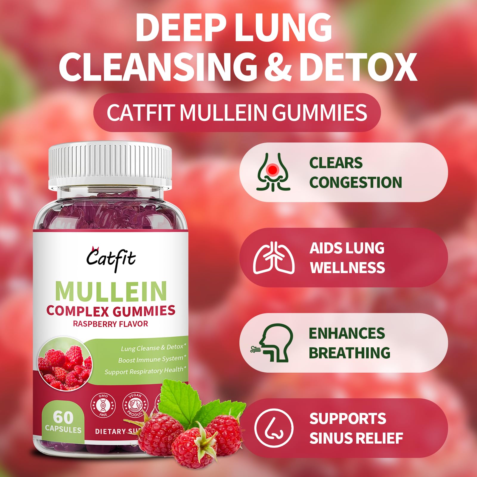 Hands holding Catfit Mullein Gummies for portable breathing support