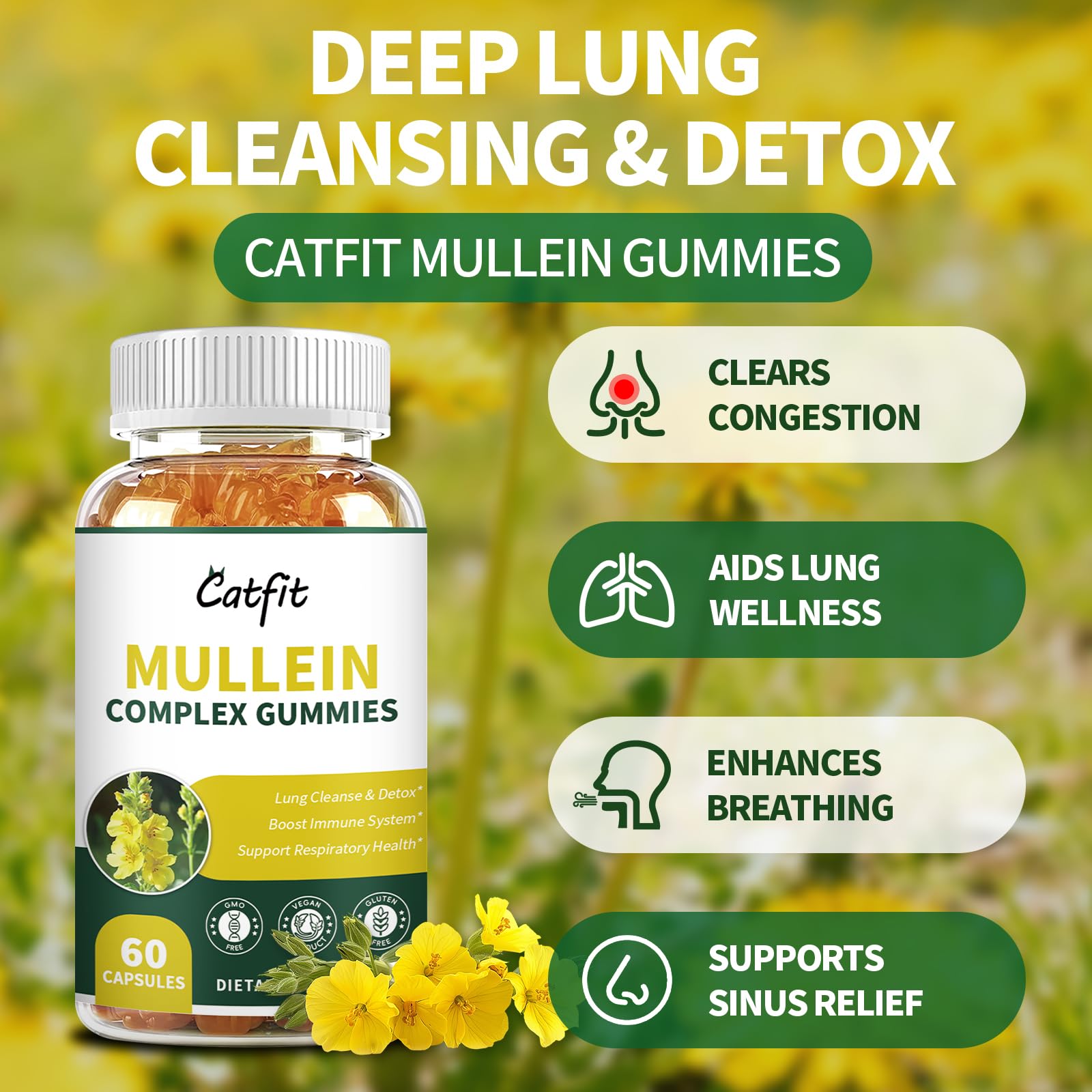 Catfit Mullein Gummies leaves highlighting Mullein leaf extract for lung support.