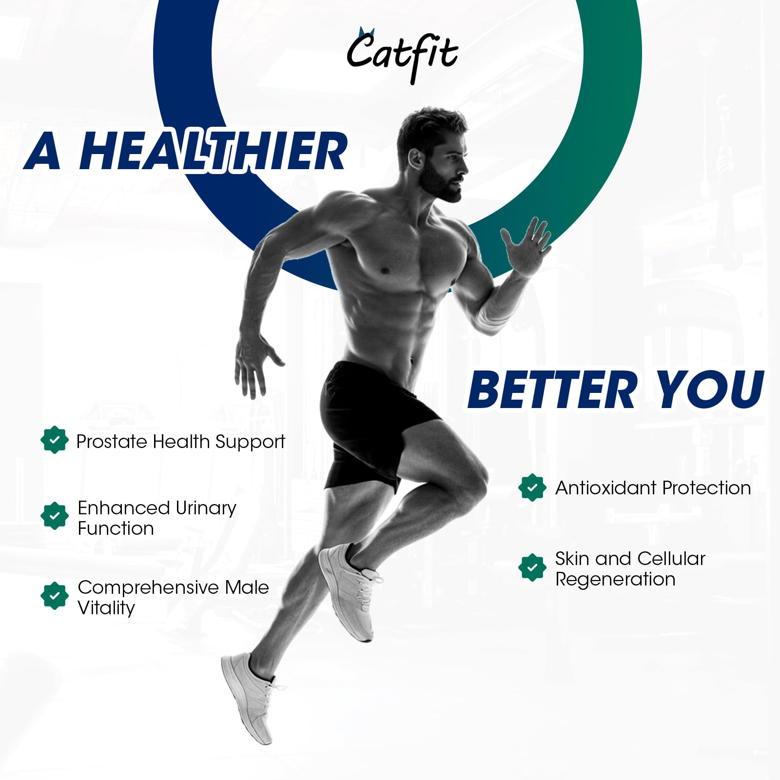 Catfit Saw Palmetto label close-up highlighting key ingredients for urinary comfort.