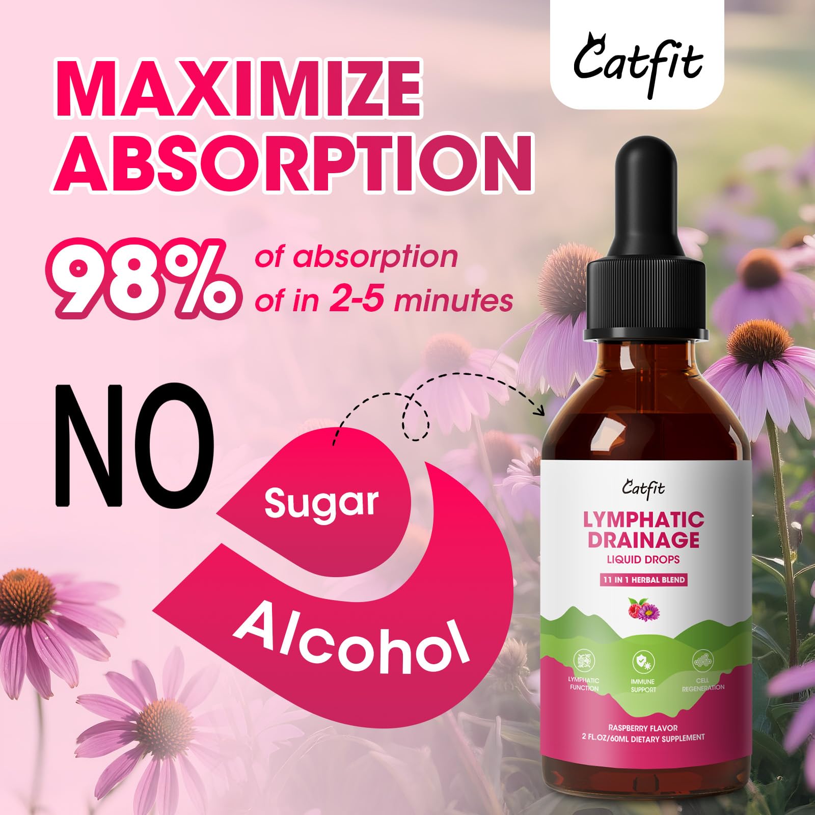 Catfit turmeric and plantain in bottle reflecting liver health support.