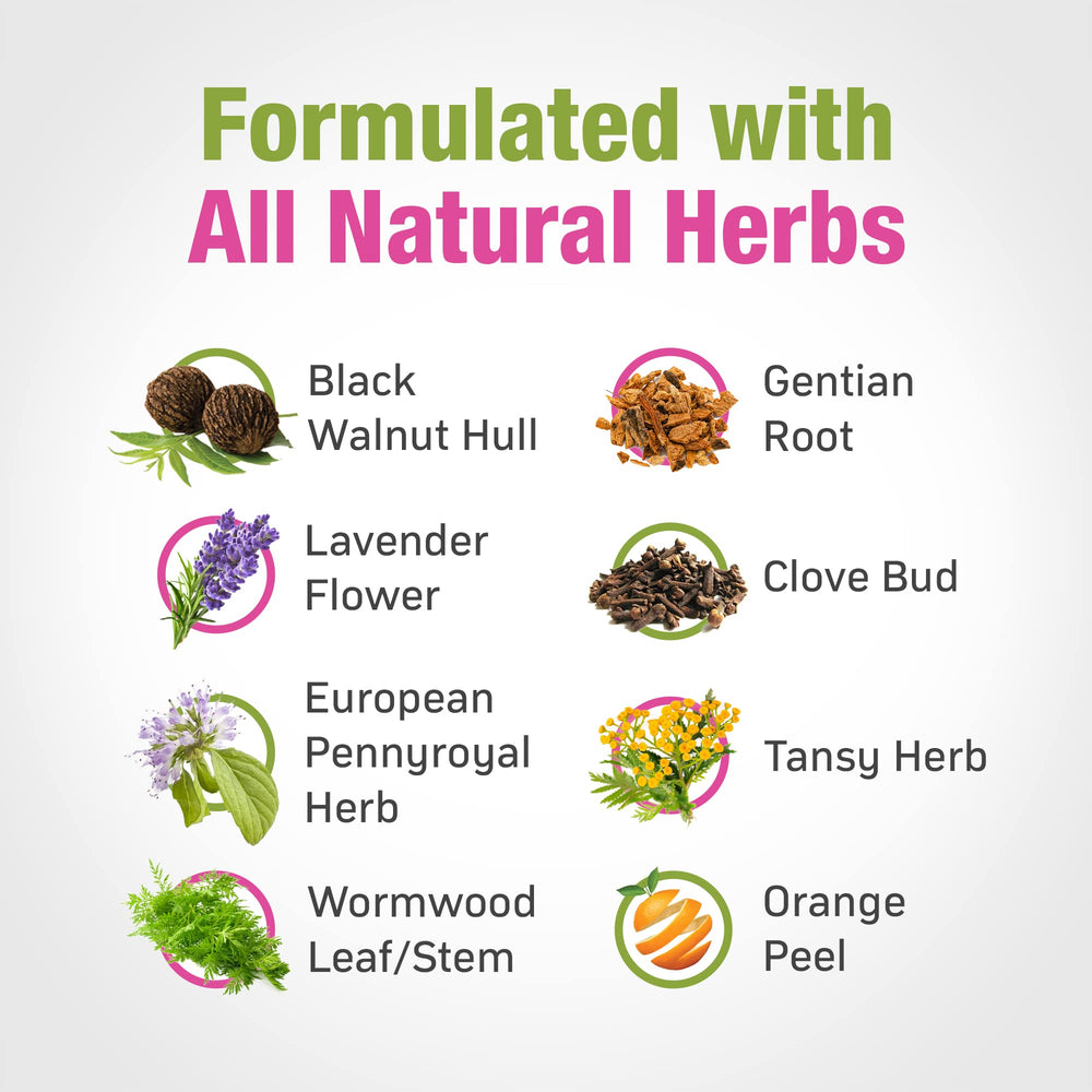 Cedar Bear Naturales herbal blend ingredients shown for digestive support.