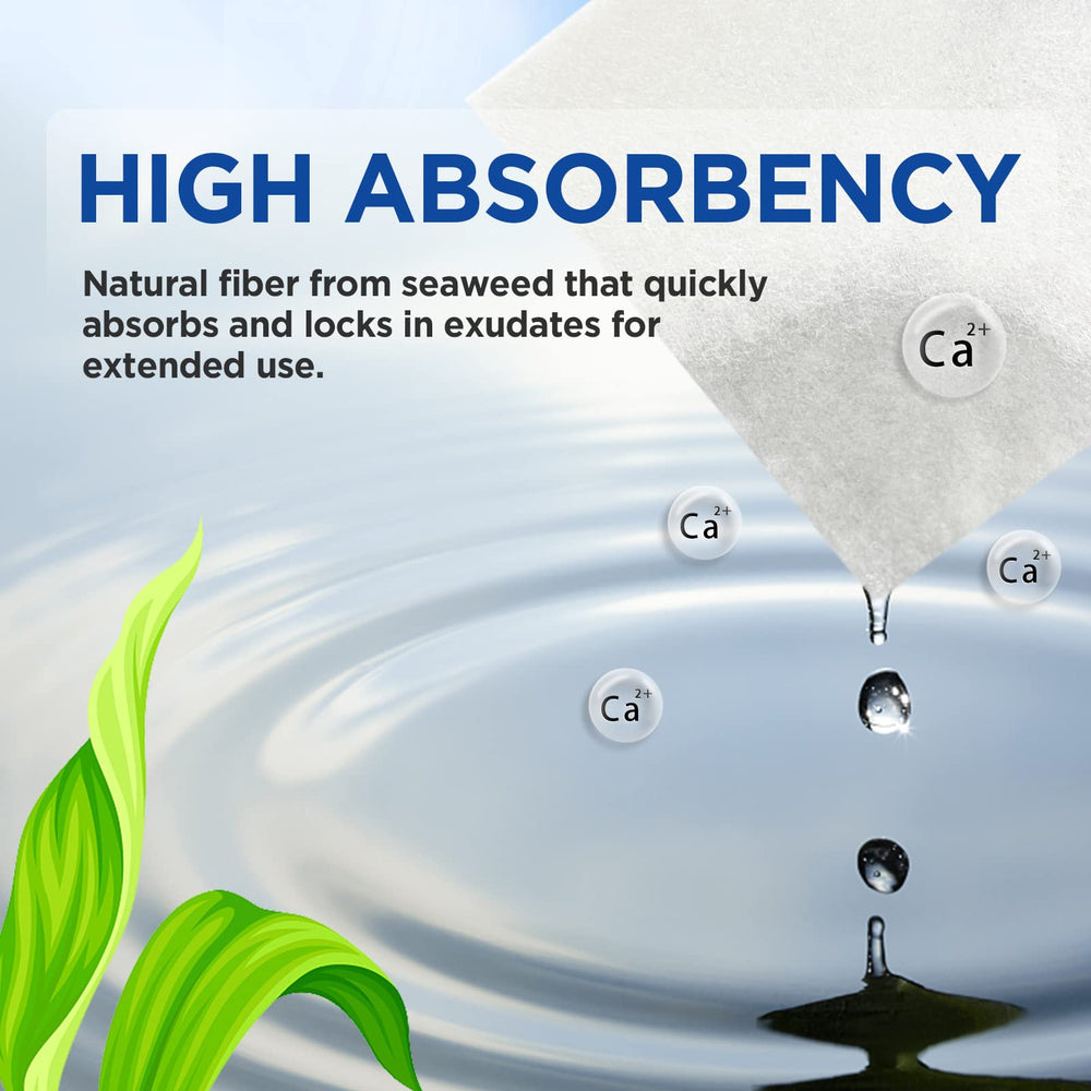 Ceeport calcium alginate wound dressing 4x4 gel-forming layer demonstrates moist environment