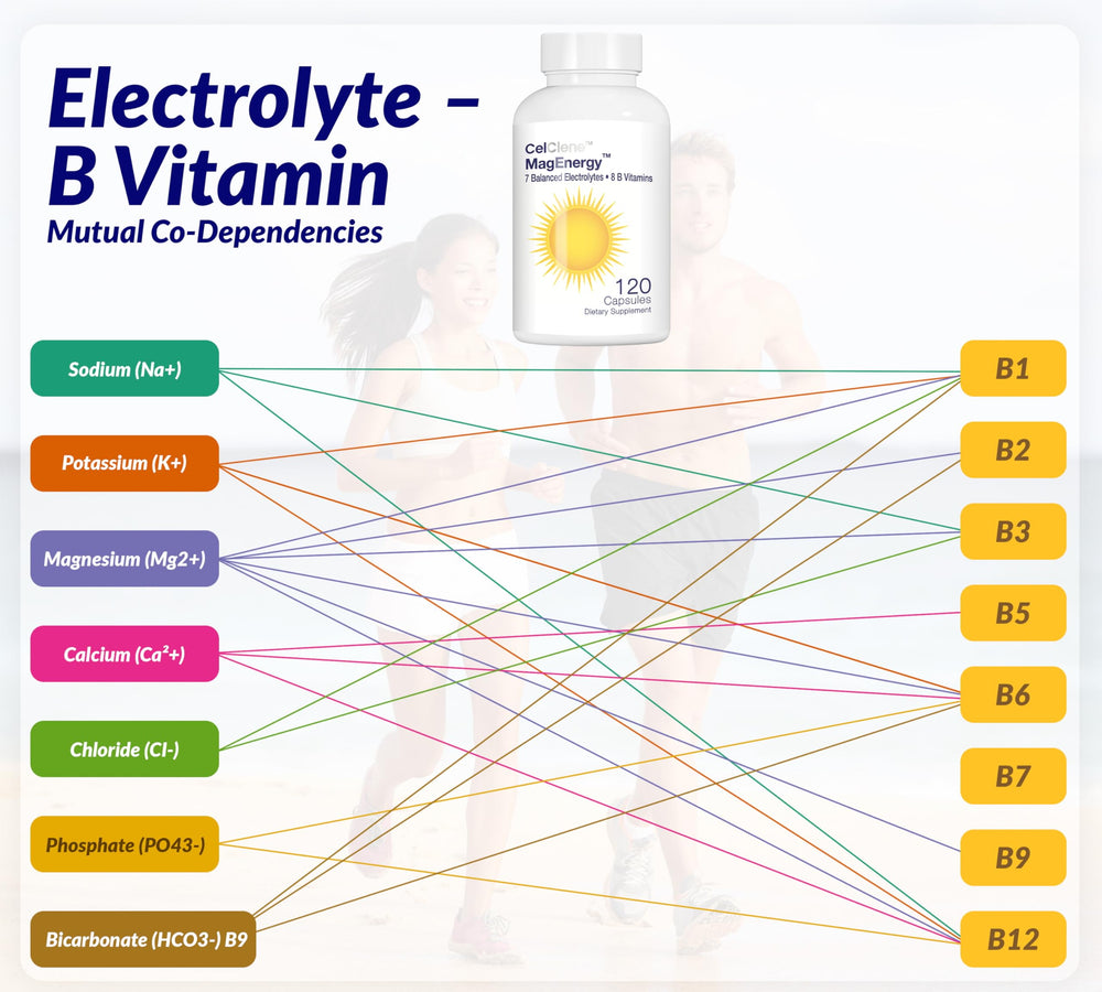 CELCLENE MagEnergy ginger-green tea extracts illustration for metabolism.
