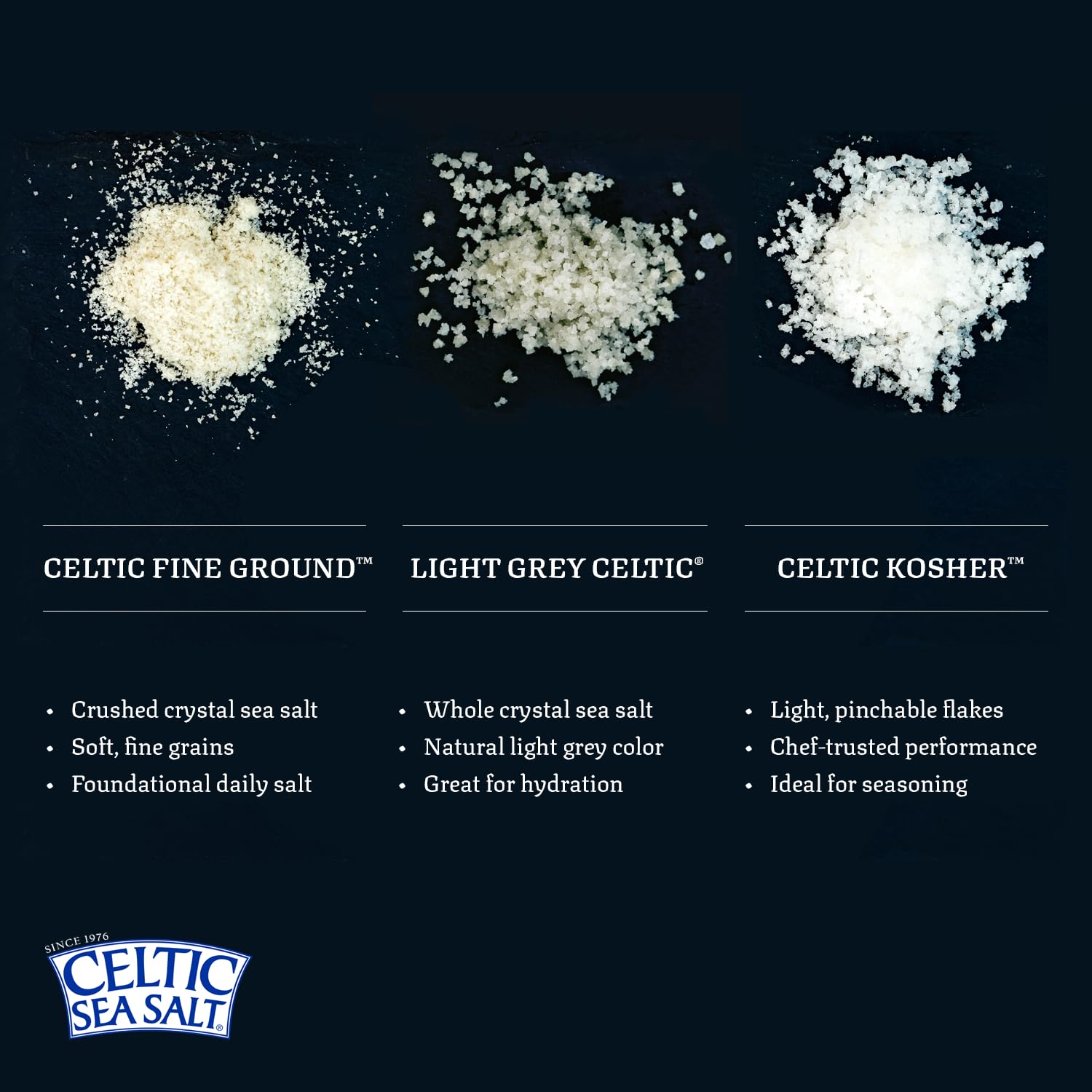 Celtic Sea Salt mineral-rich closeup reveals crystal texture.