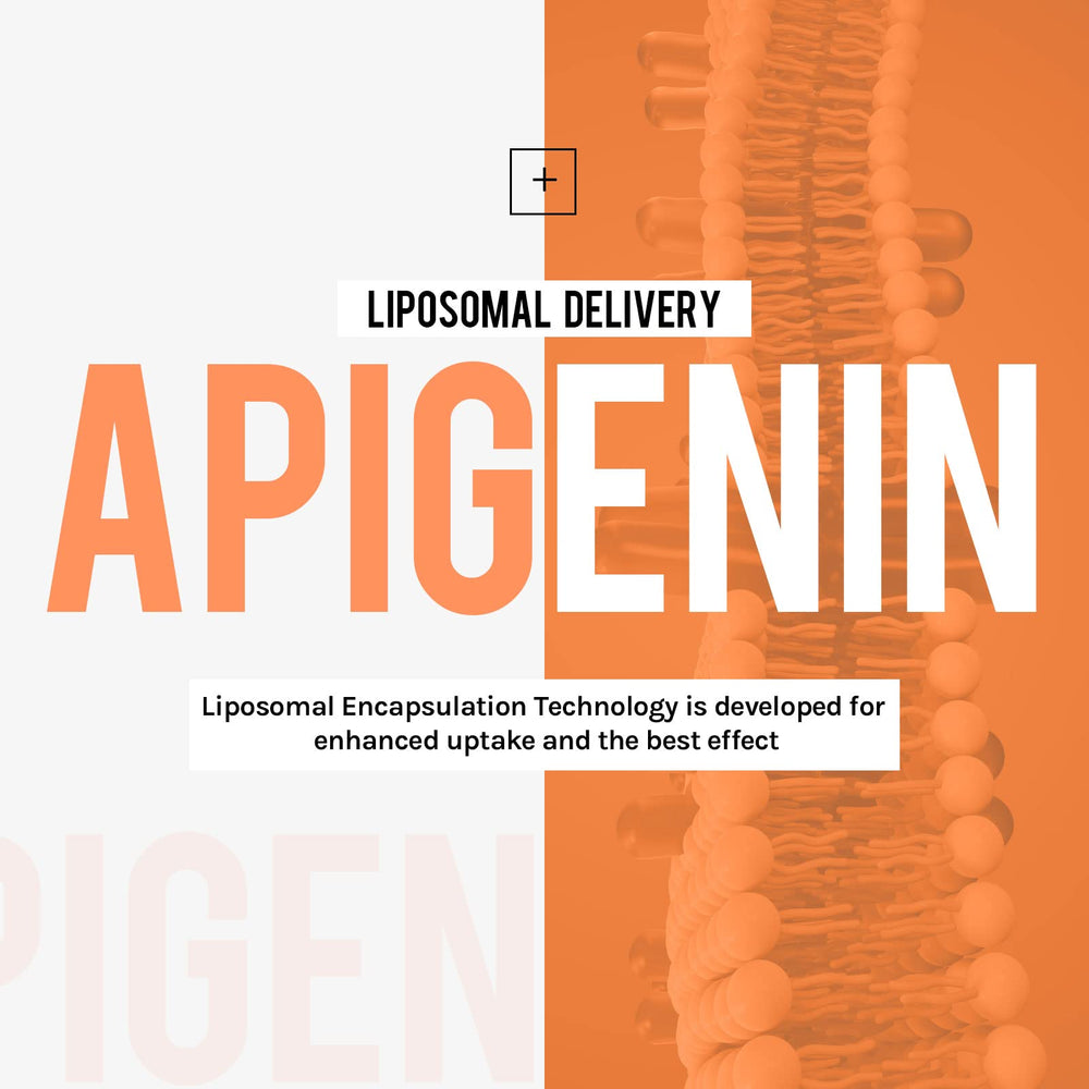 Cenffitio liposomal apigenin capsules closeup, easy-to-swallow daily capsules.