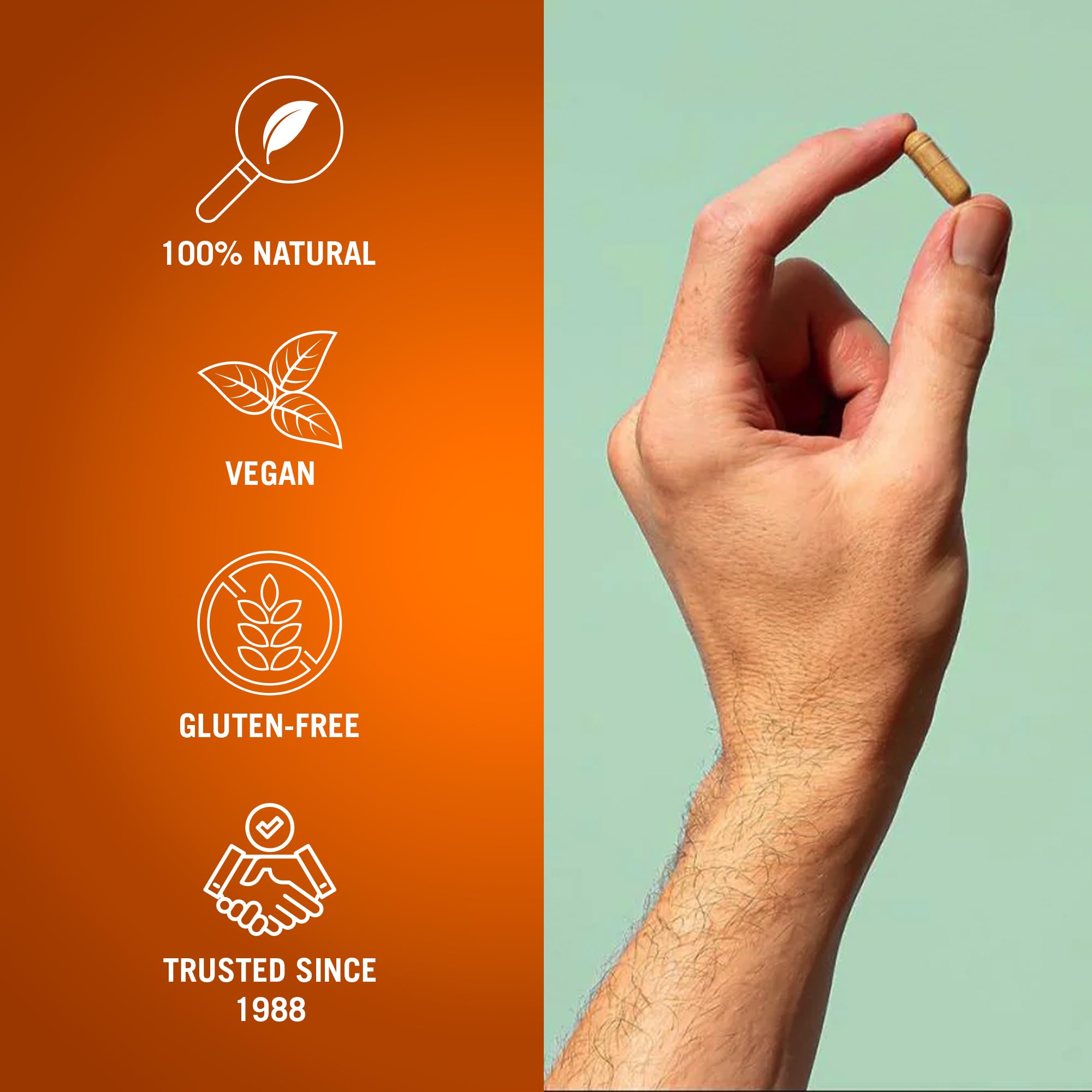Century Systems The Cleaner Detox capsules in hand illustrate portable, travel-friendly cleansing support