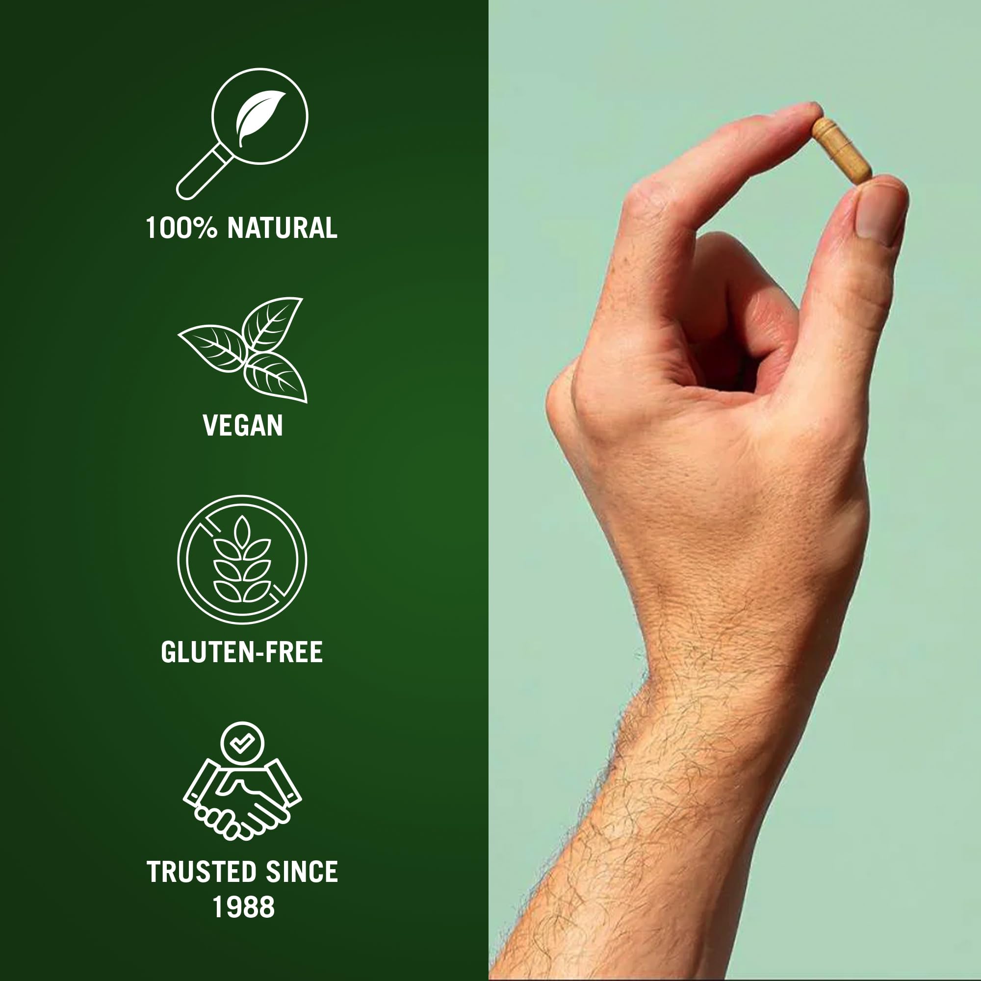 Century Systems The Cleaner Detox capsules arranged to illustrate a simple 14-day regimen