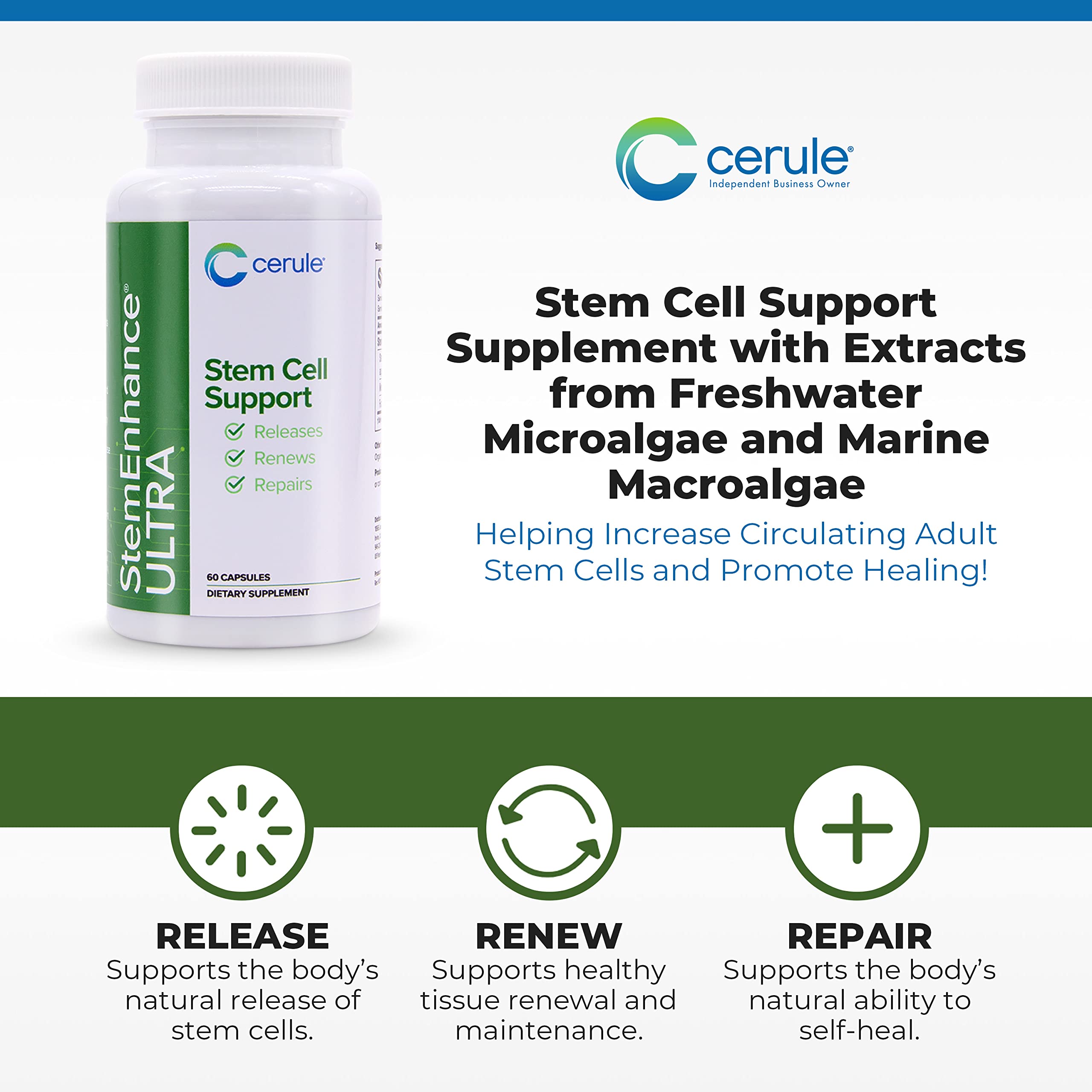 Cerule StemEnhance Ultra bottle front with 60 capsules for daily support